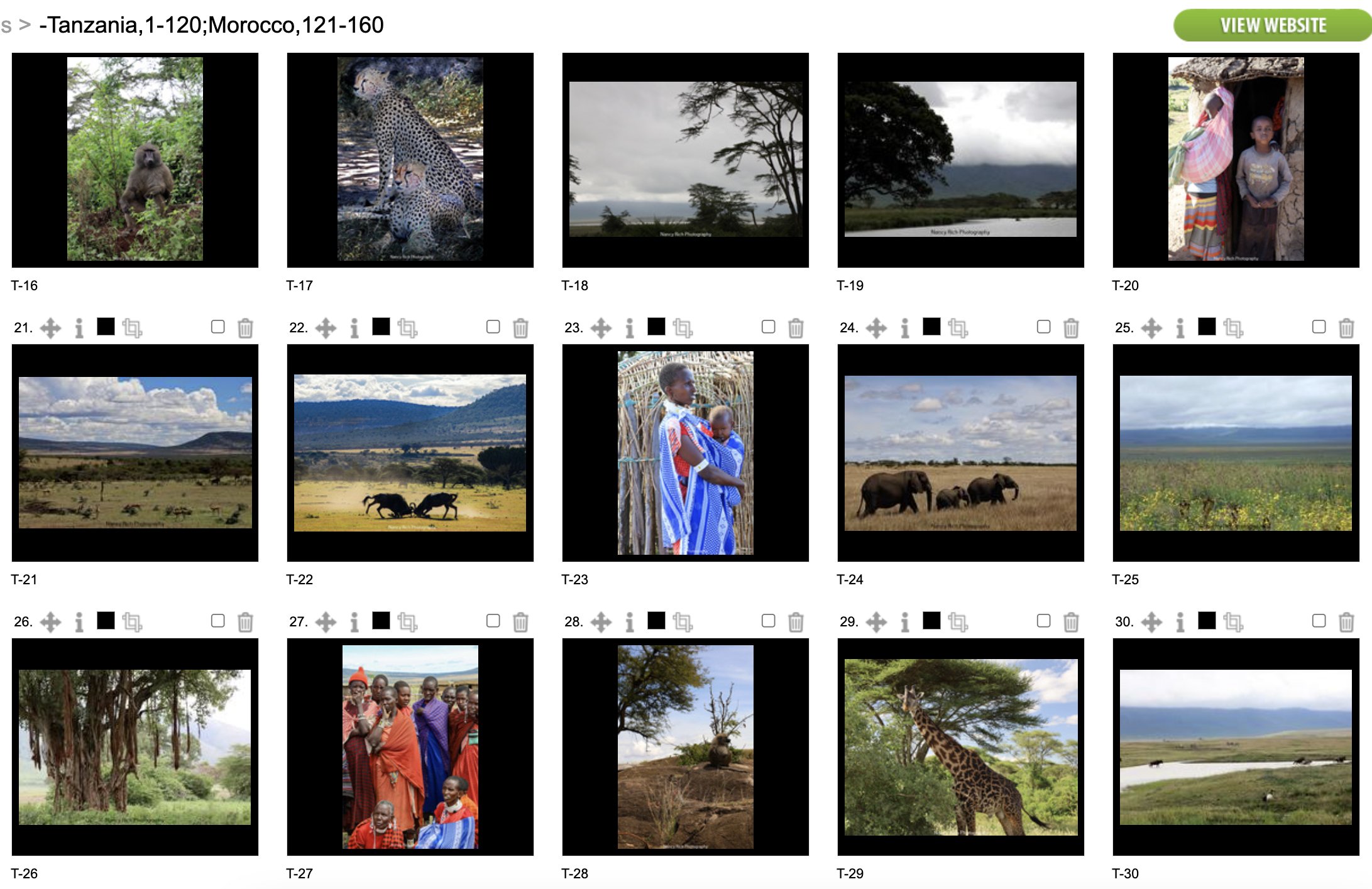 HA-Tanzania2-Screenshot 2025-10-21 at 6.15.43 AM.jpg