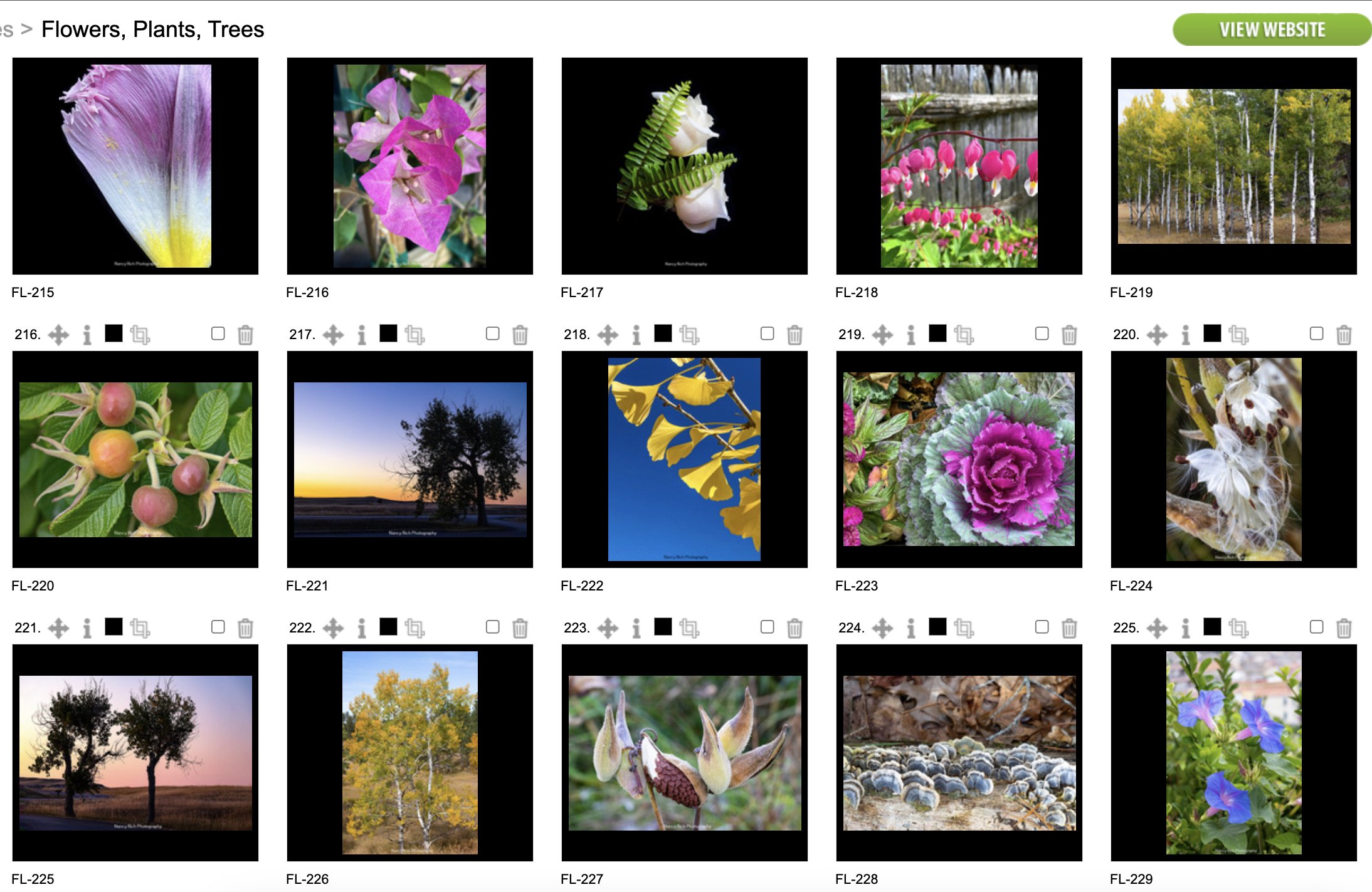 Flowers15-Screenshot 2025-10-21 at 7.02.24 AM copy.jpg