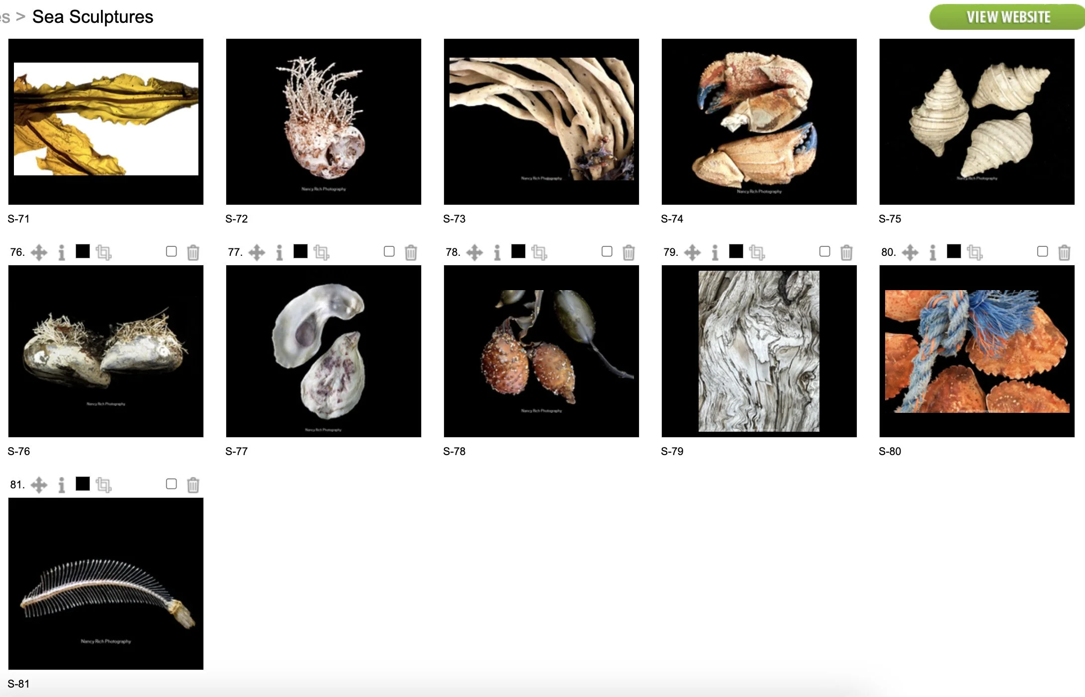 Sea Sculptures6-Screenshot 2025-10-20 at 2.56.18 PM.jpg