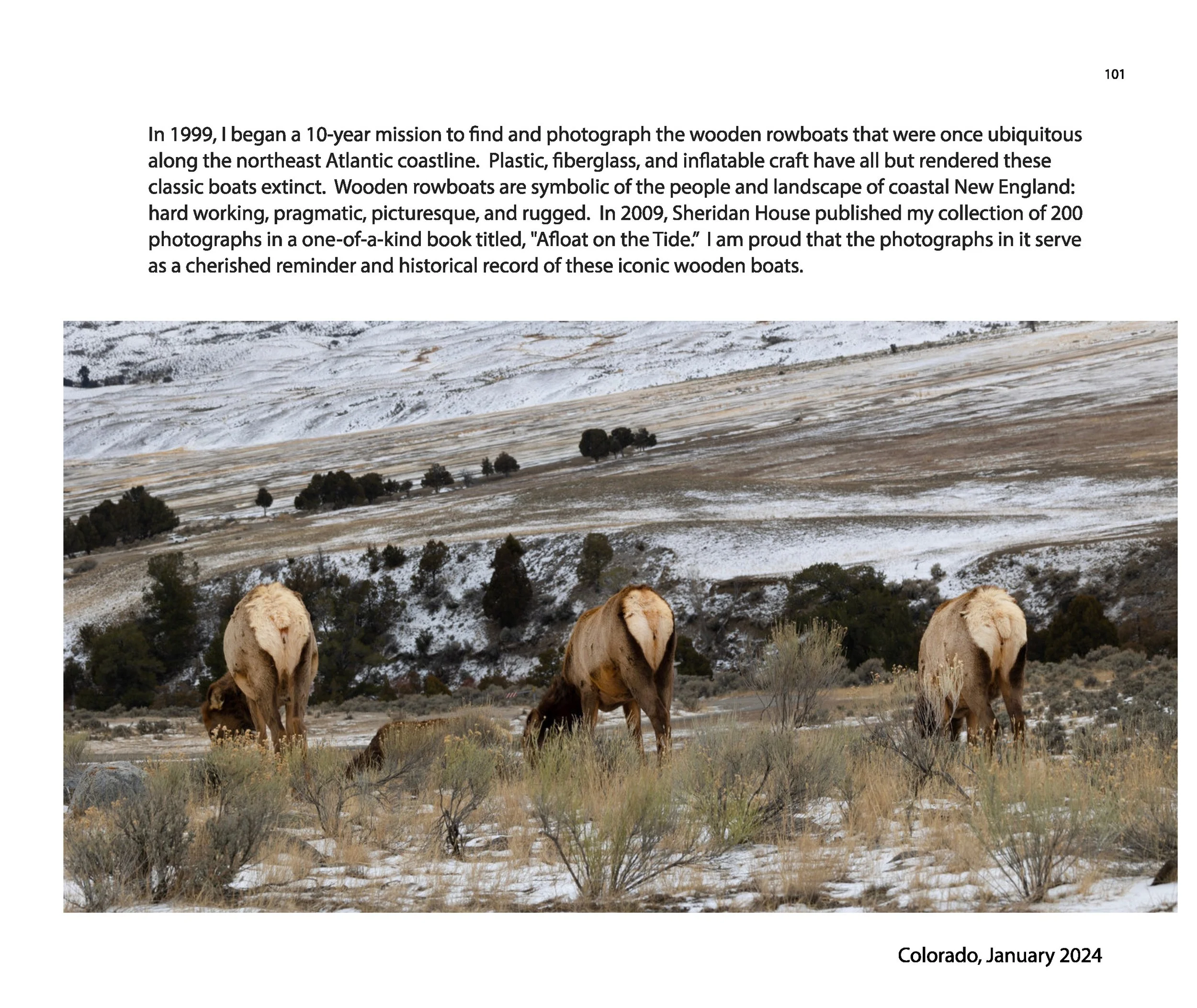 New JPGs__Page_103.jpg