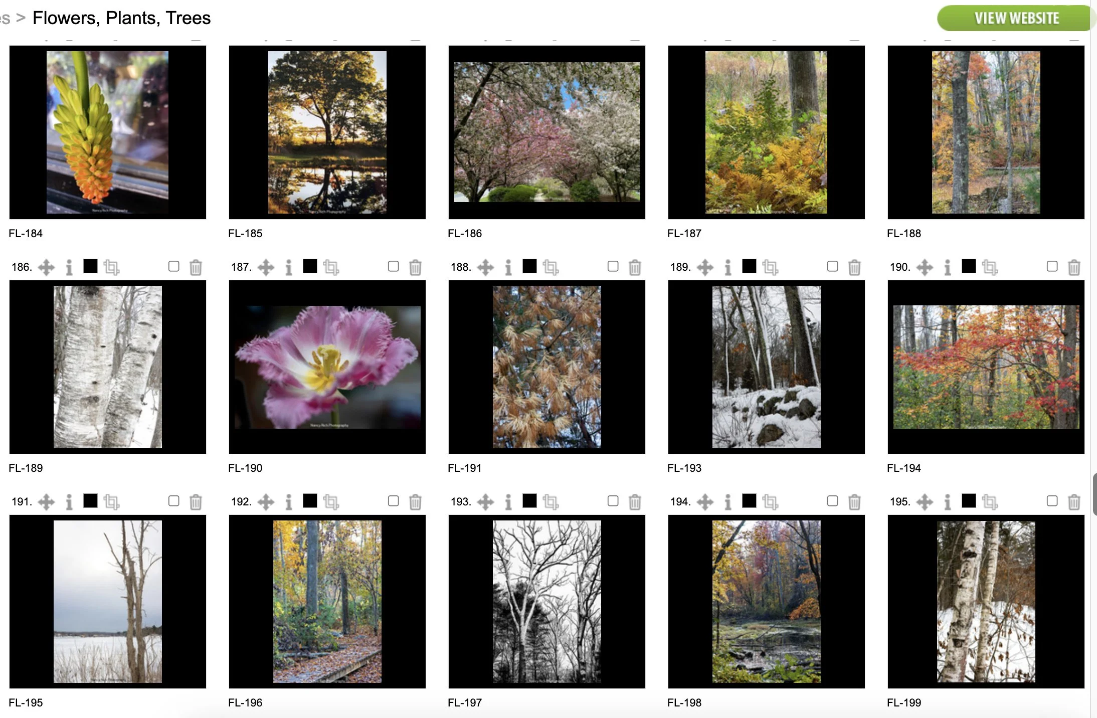 Flowers13-Screenshot 2025-10-21 at 7.02.08 AM copy.jpg