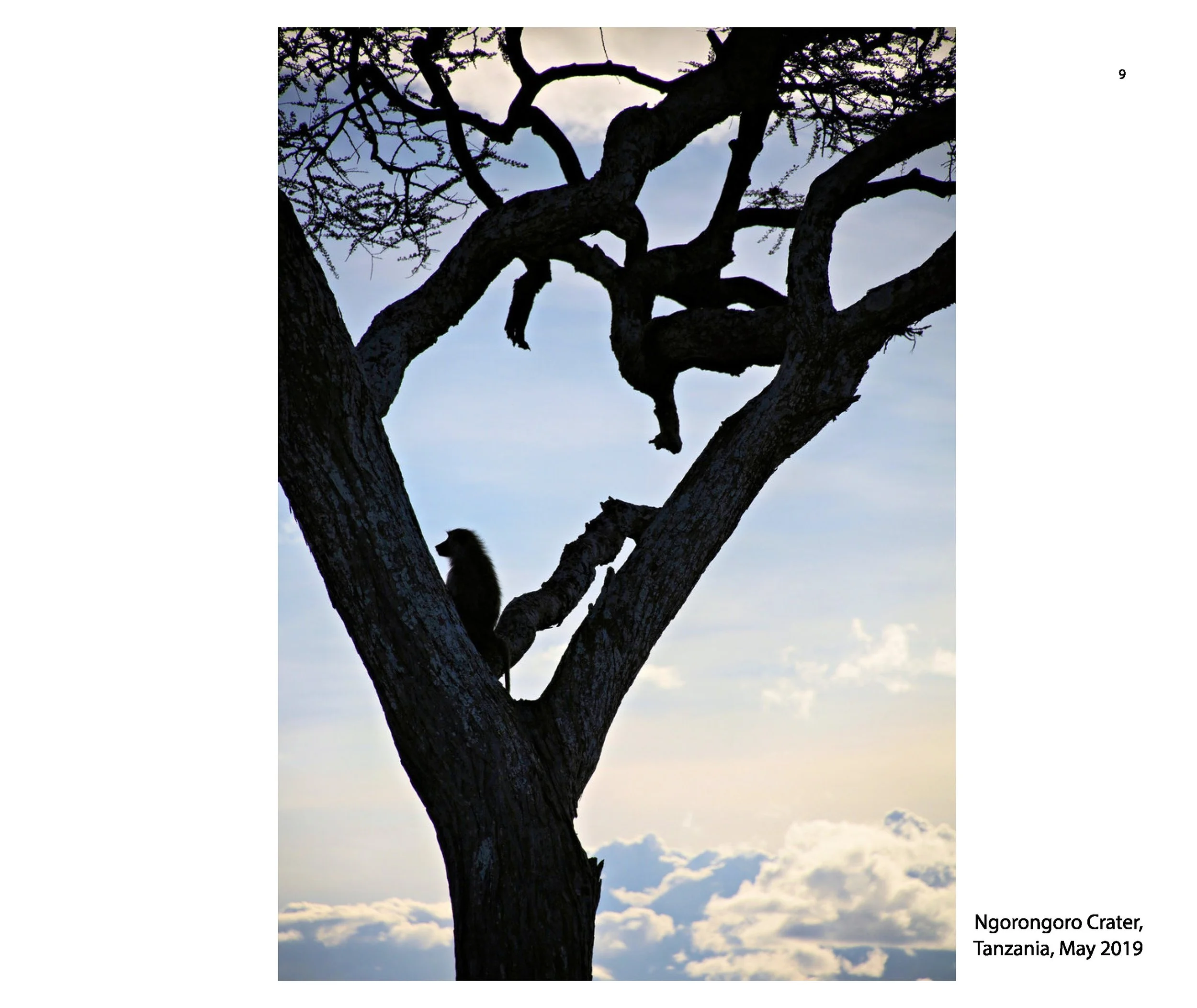 New JPGs__Page_011.jpg