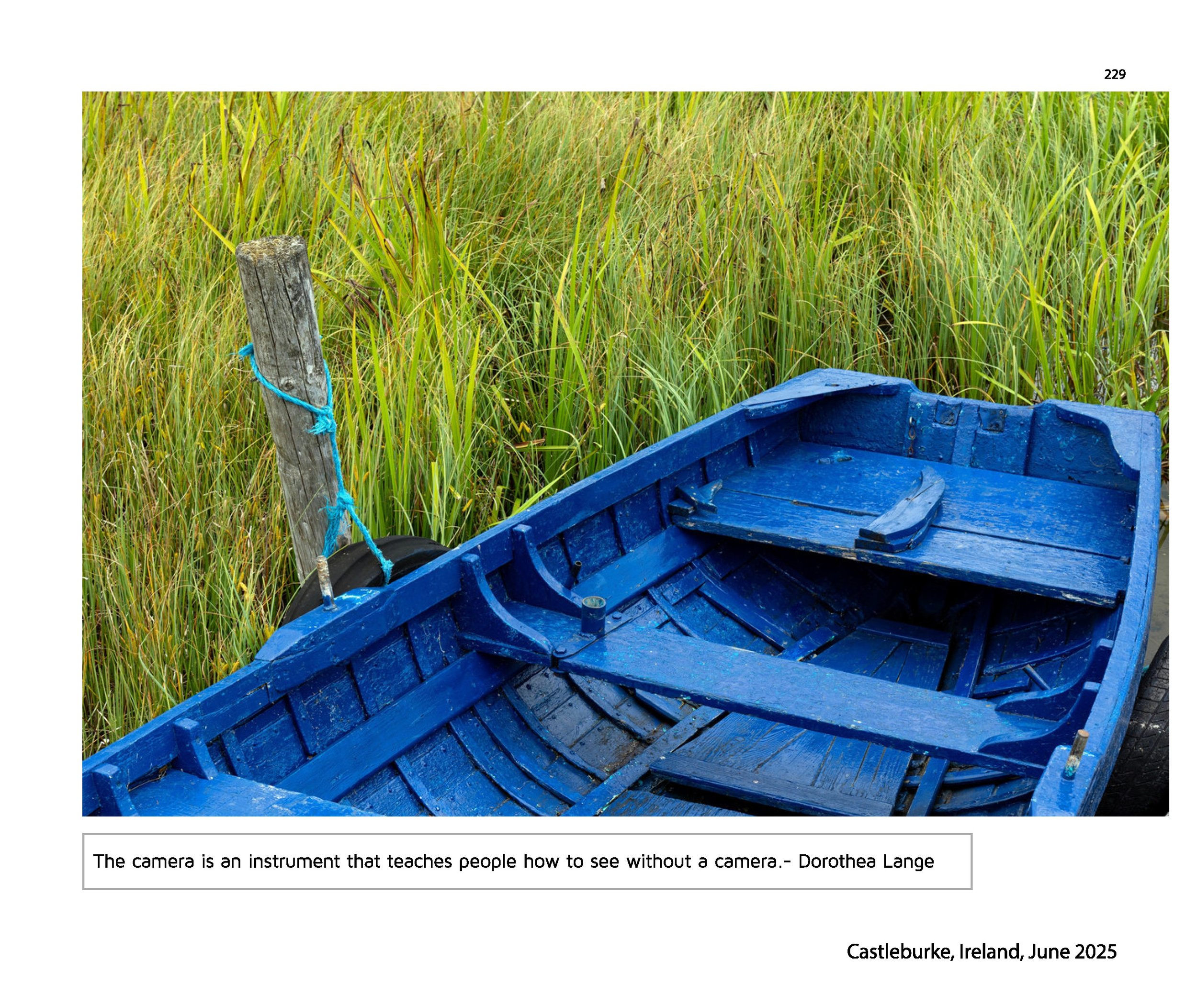 New JPGs__Page_231.jpg
