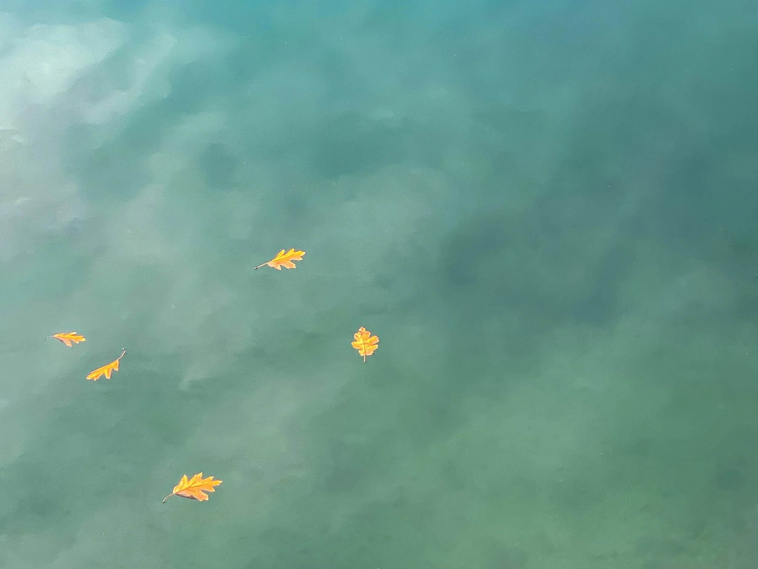 Waterscapes