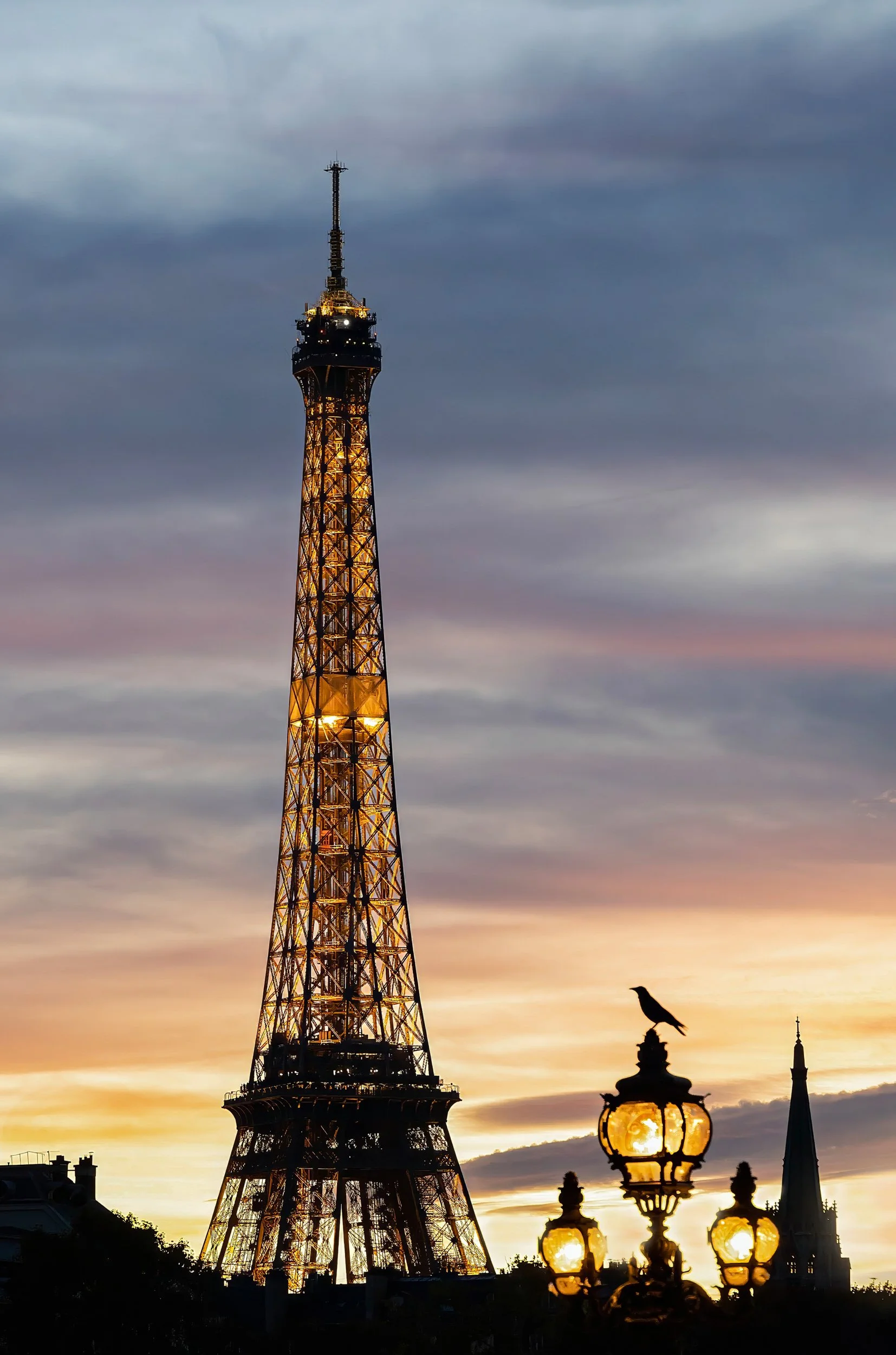 11_11- Bird's-Eye View of the Eiffel Tower-FINAL copy 2-topaz-sharpen-denoise copy.jpg