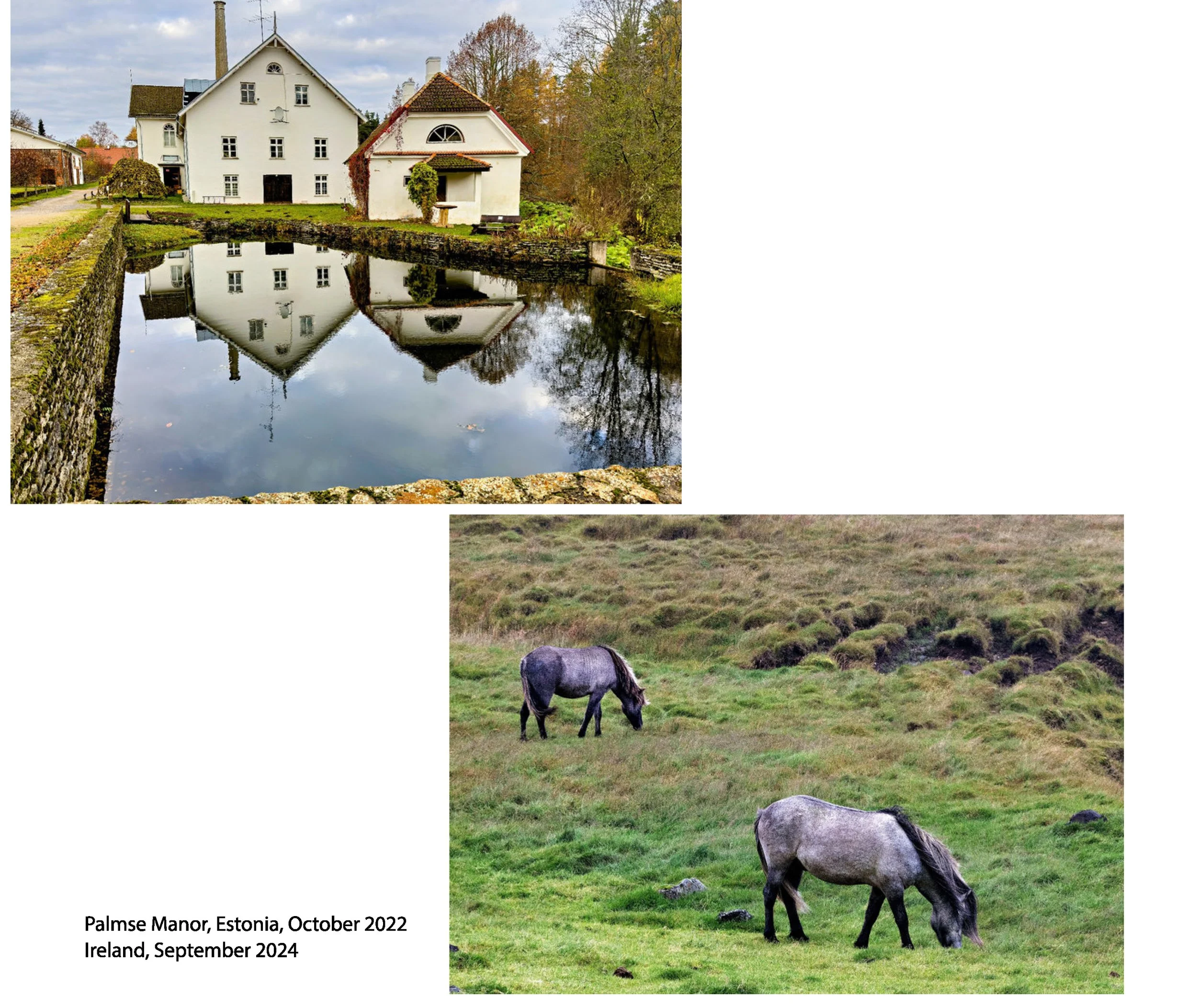 New JPGs__Page_020.jpg