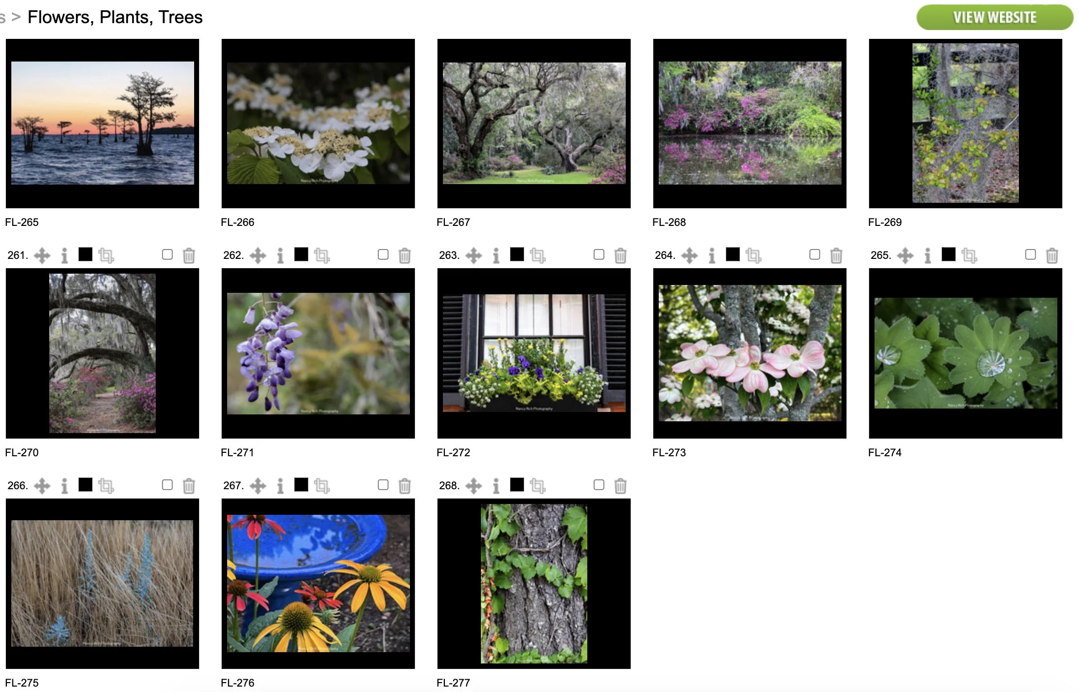 Flowers18-Screenshot 2025-10-21 at 7.02.49 AM copy.jpg