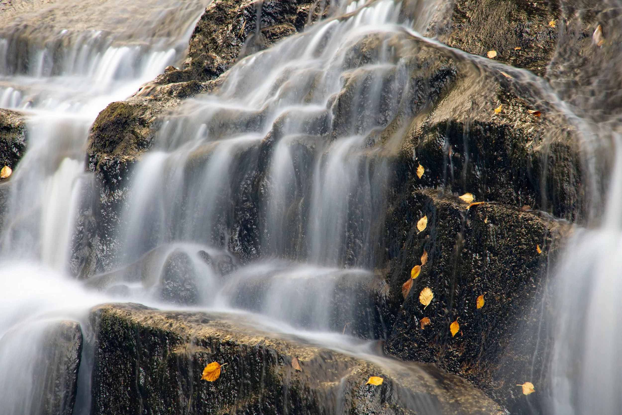 22_111- Waterfall-Gold Leaves1-Solon copy 2-2 copy.jpg