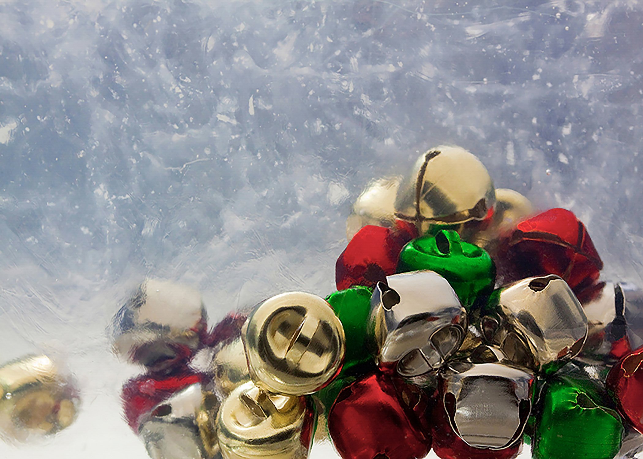 Holiday Cards and Playful