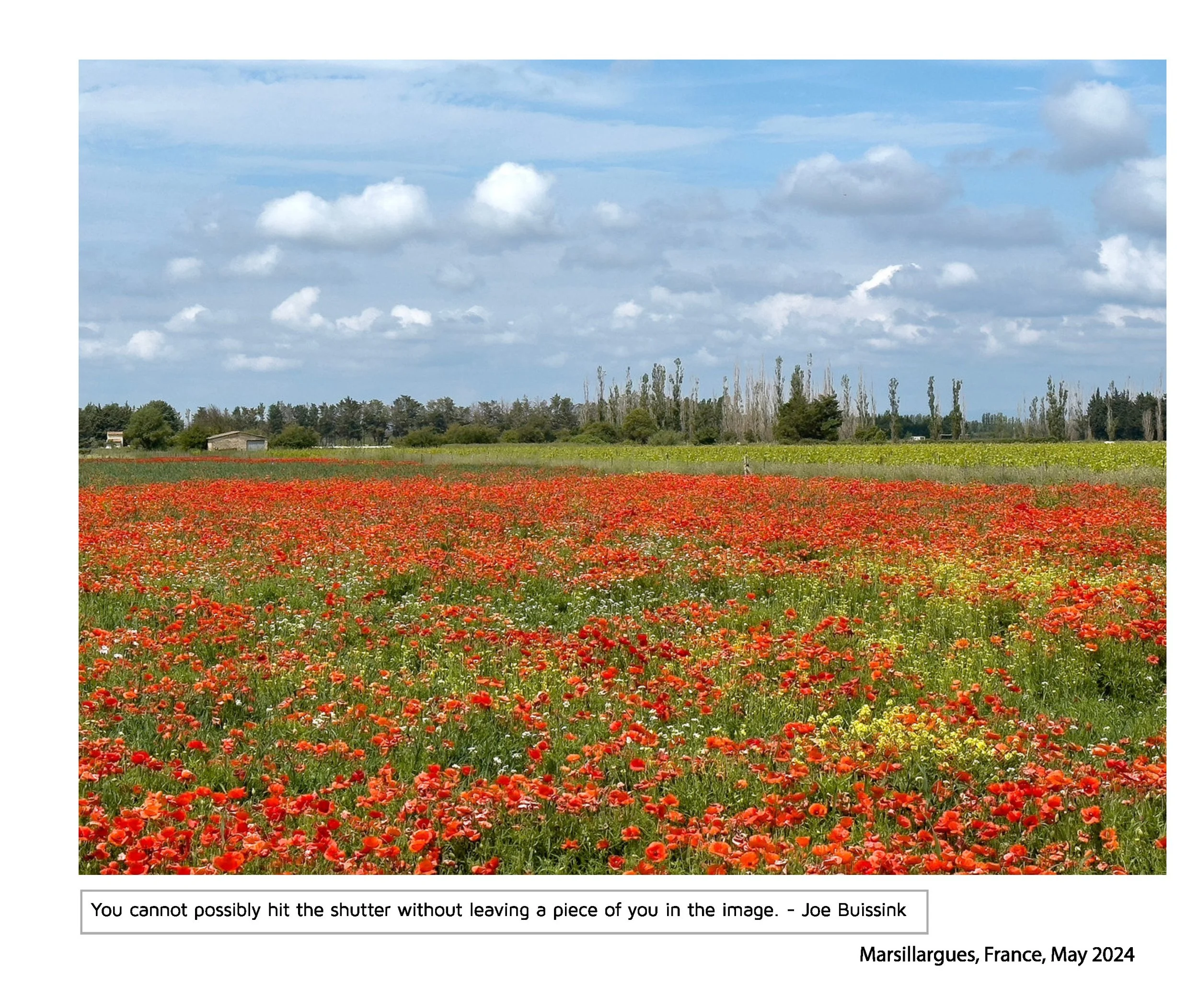 New JPGs__Page_131.jpg