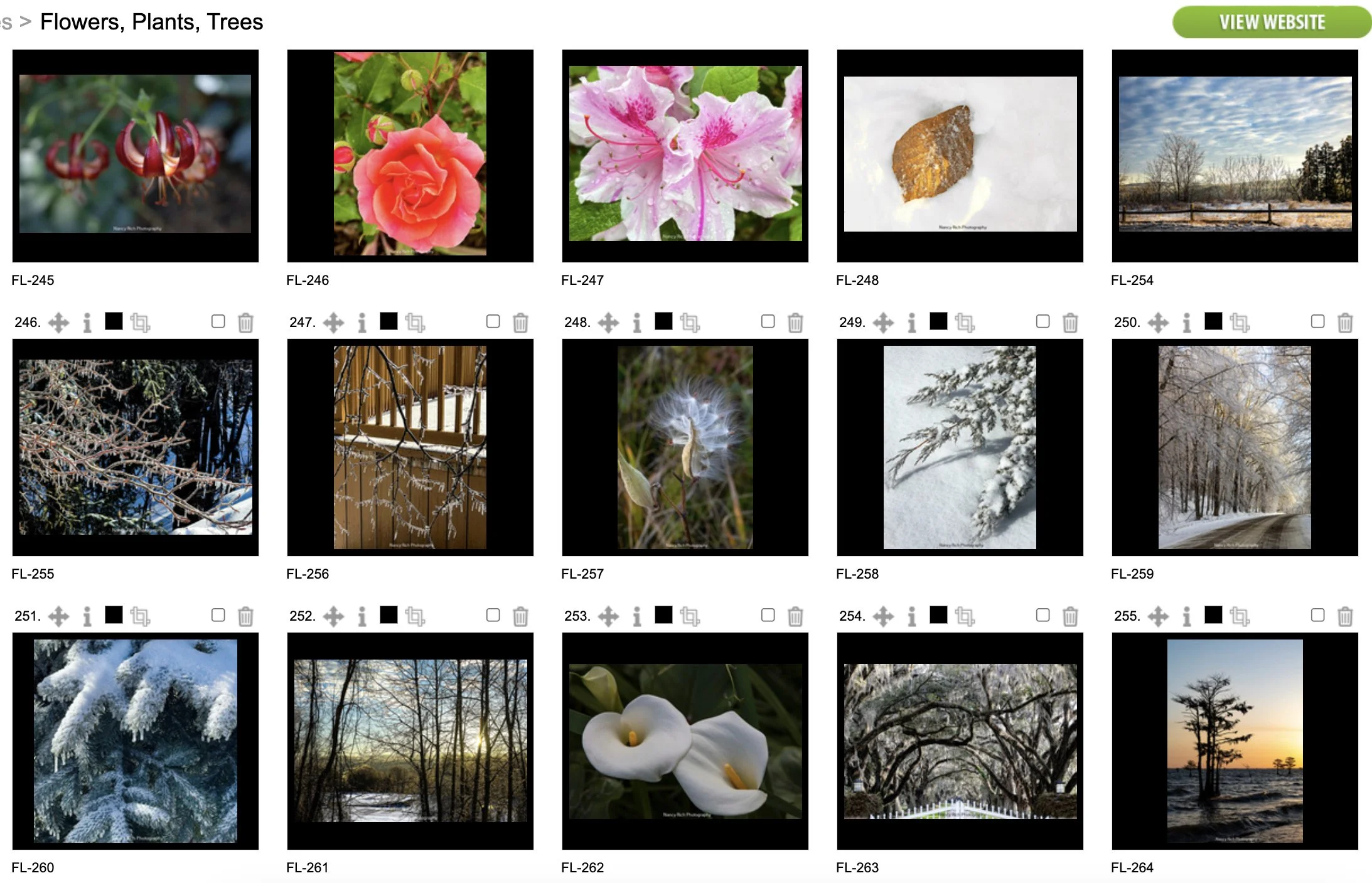 Flowers17-Screenshot 2025-10-21 at 7.02.41 AM copy.jpg