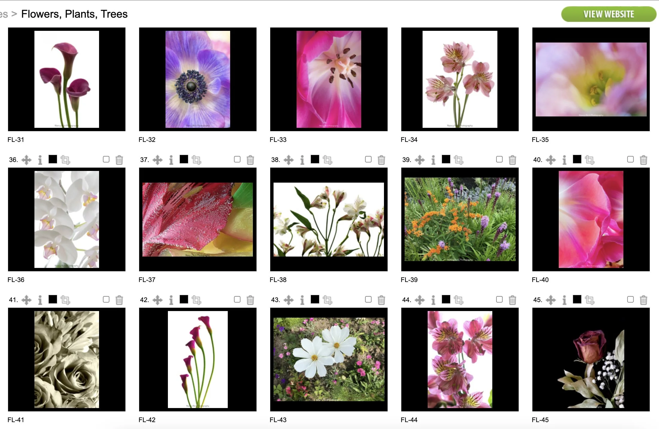 Flowers3-Screenshot 2025-10-21 at 7.00.44 AM copy.jpg