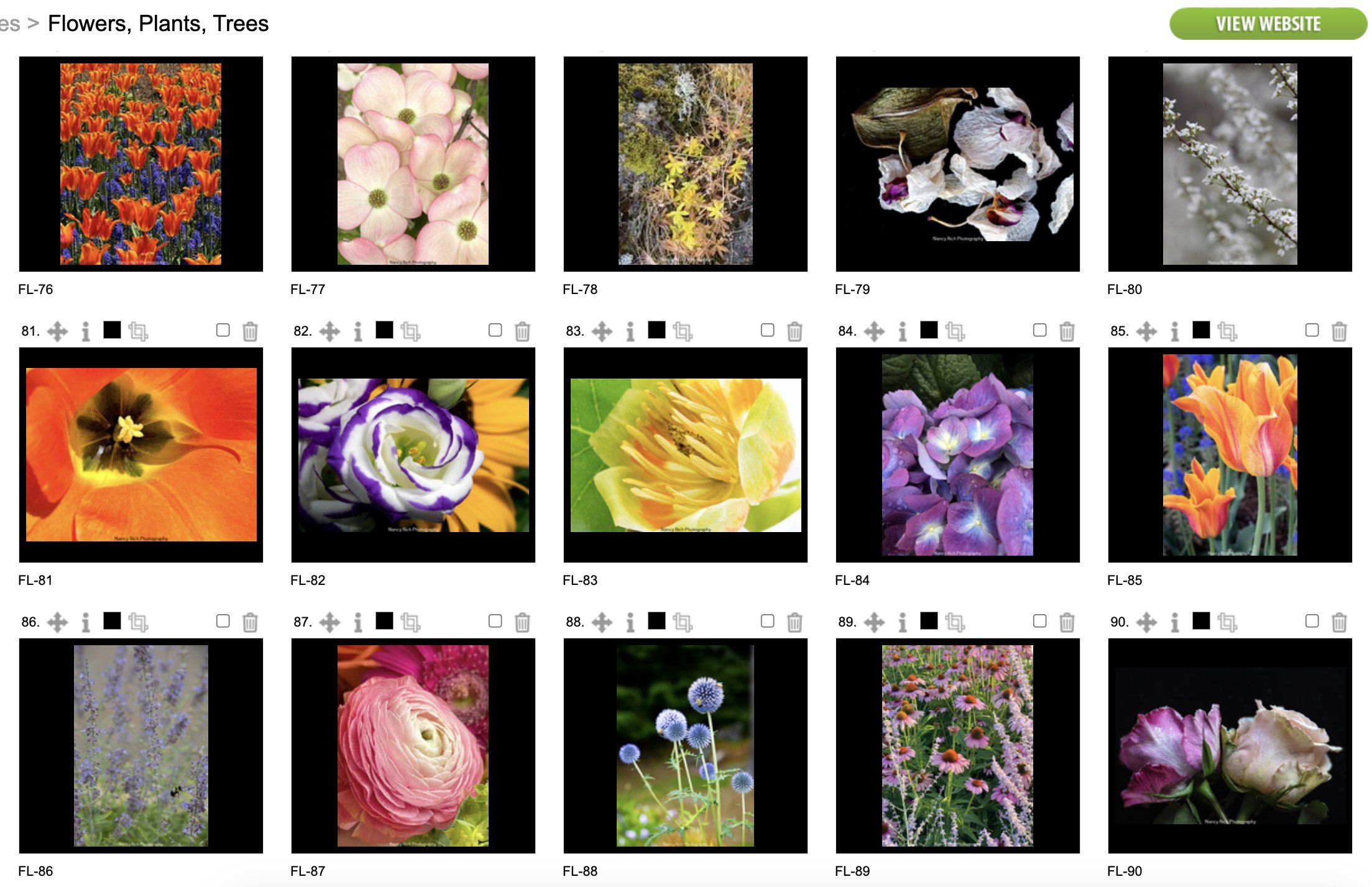 Flowers6-Screenshot 2025-10-21 at 7.01.09 AM copy.jpg