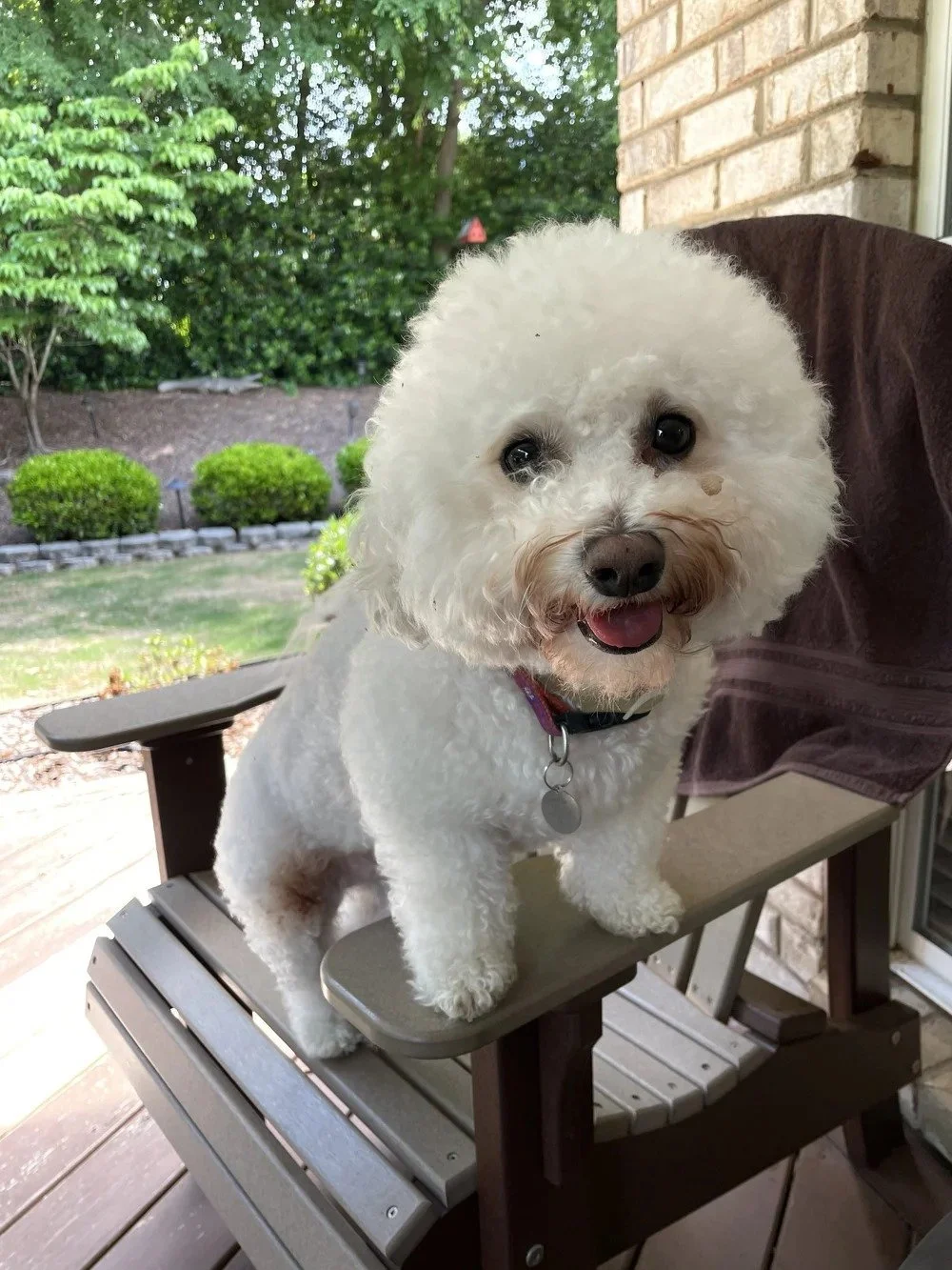 Sam