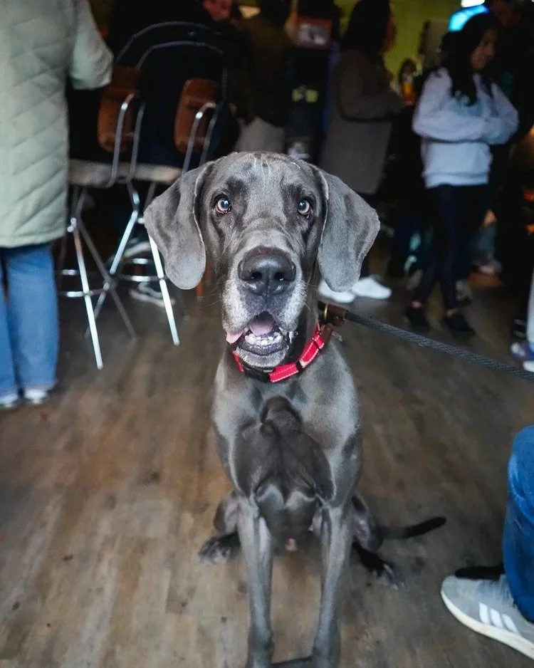 Milo