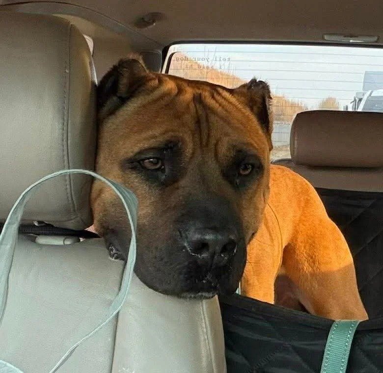 Benny