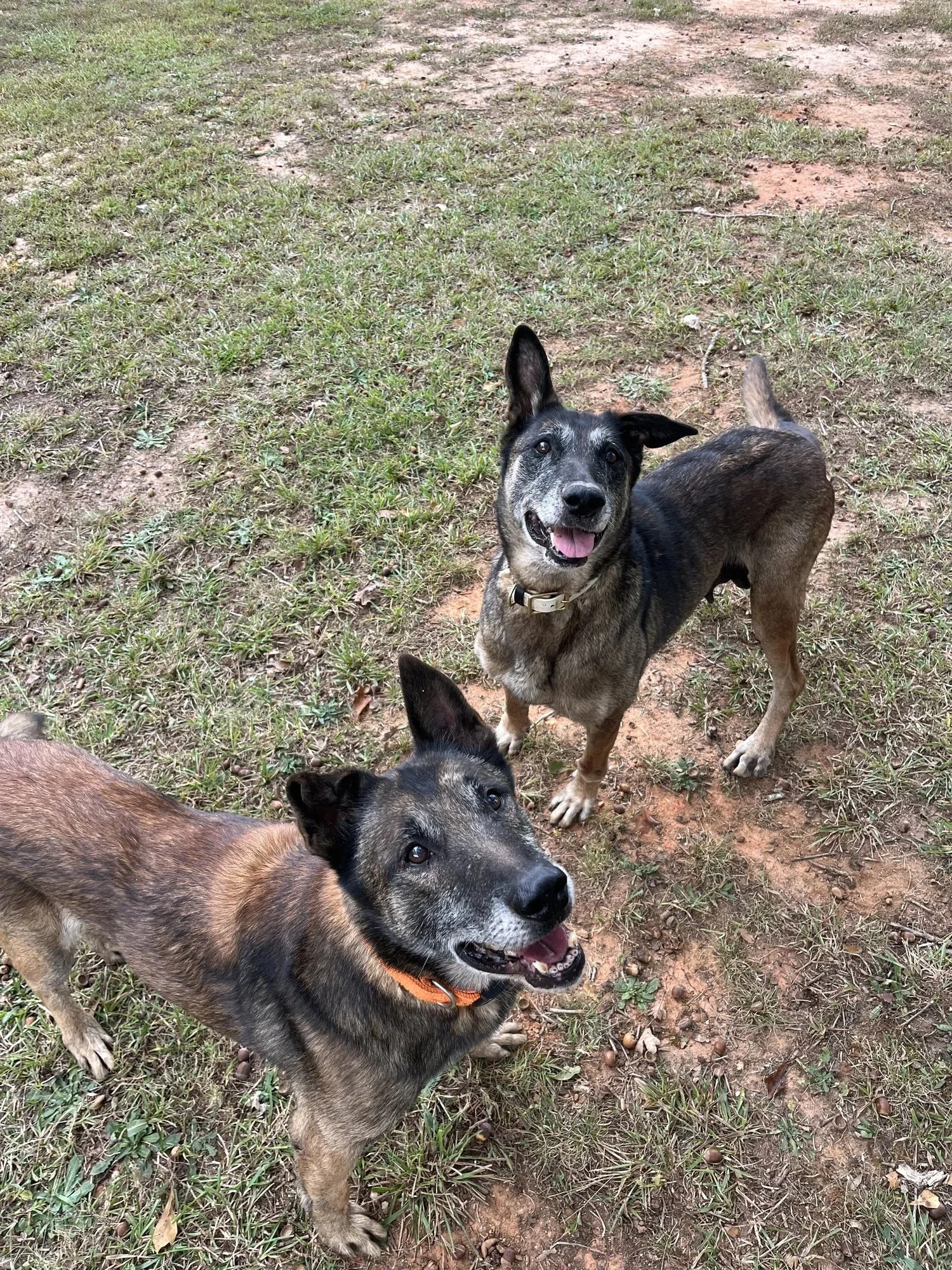 Nike & Risky | Female + Male | 15 Years