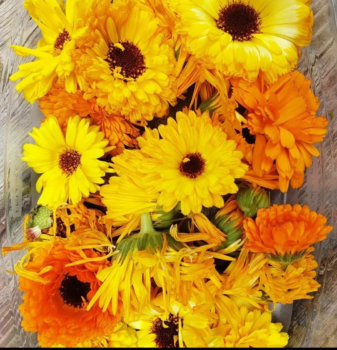 Close-up bouquet of bright yellow and orange calendula flowers on a rustic wooden surface