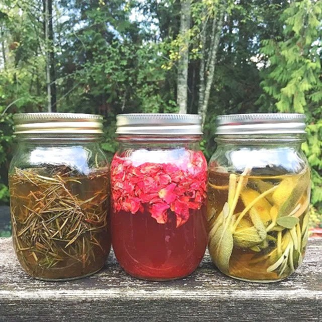 Three mason jars filled with colorful herbal infusions and botanicals outdoors