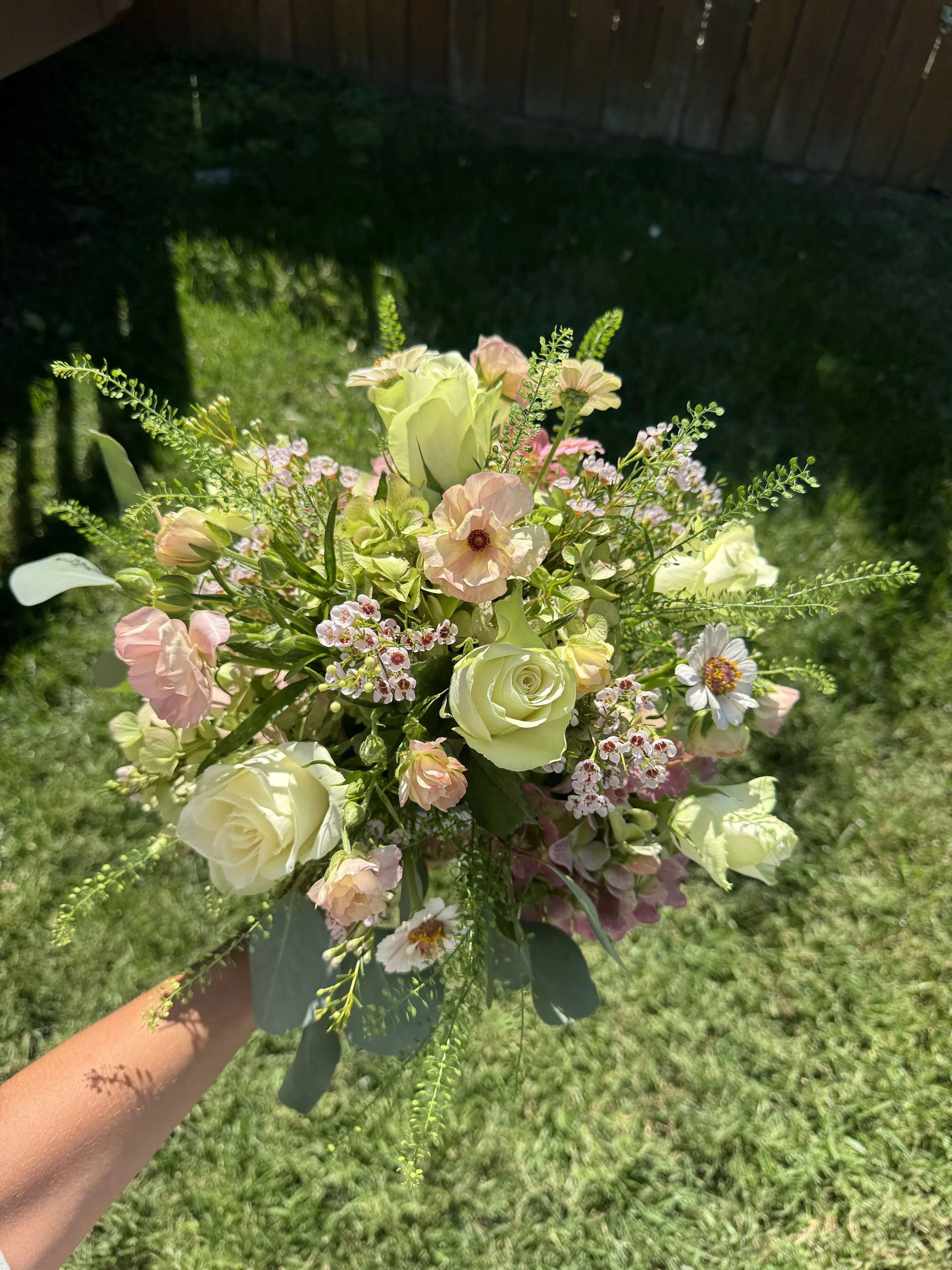 IMG_6558.jpeg