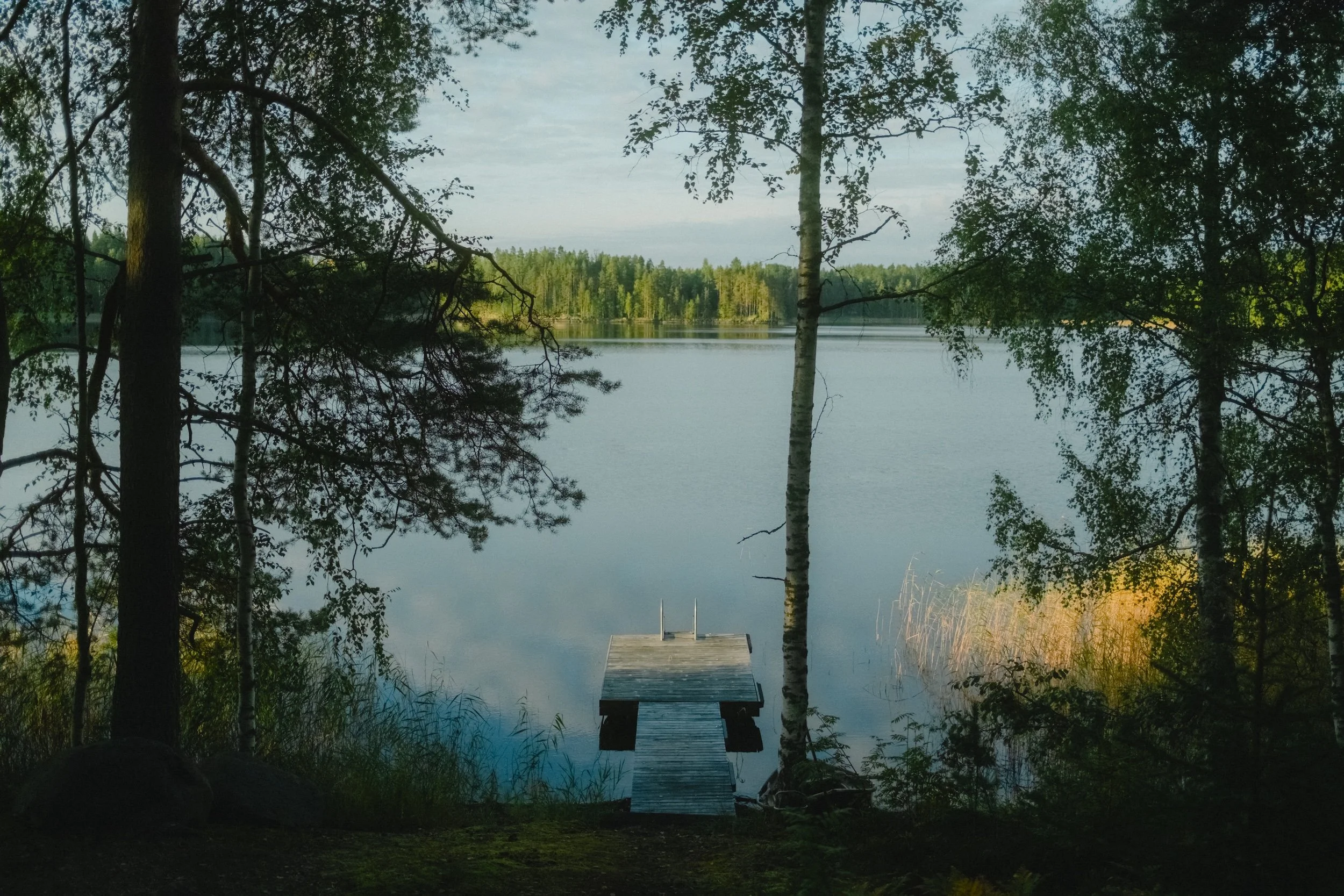 DSCF0037.jpg