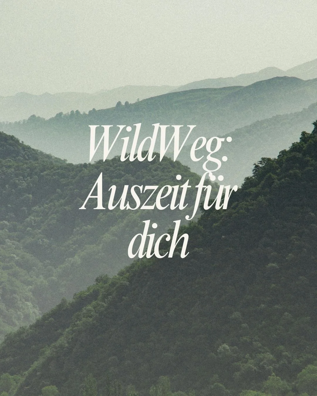 Da ist eine Idee.....und du kannst mir dabei helfen. 

Meine Idee ist eine regelm&auml;ssig stattfindende WildWeg Auszeit im Urner Wald. 

In der wir gemeinsam &Uuml;bungen kennen lernen, um unser st&auml;ndig unter Strom stehendes System herunterfah