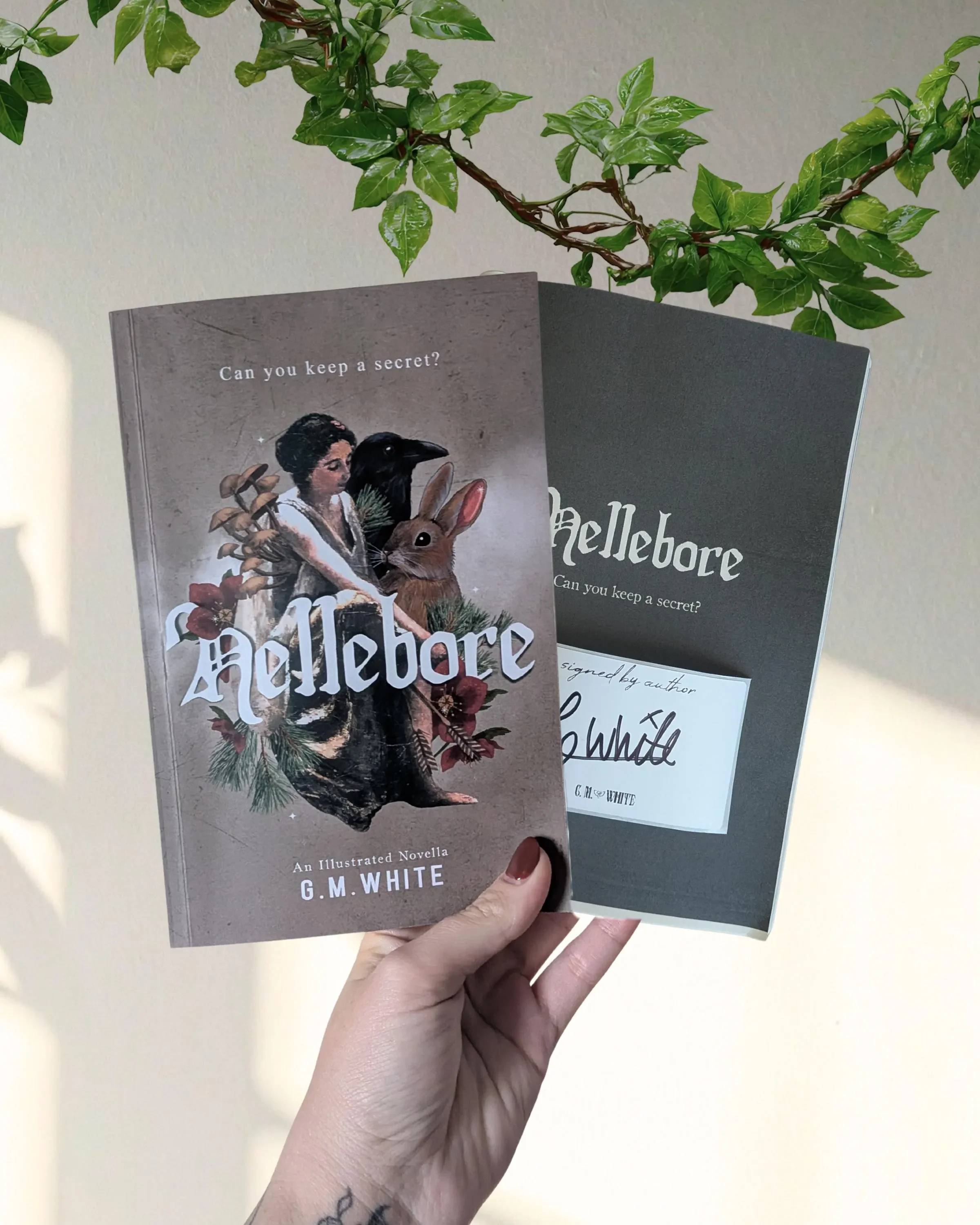 Two books held in a person's hand, with a plant in the background. The front book features an illustrated woman with animals, and the title 'Hello before,' asking 'Can you keep a secret?' The other book behind it has a handwritten note visible on the cover.