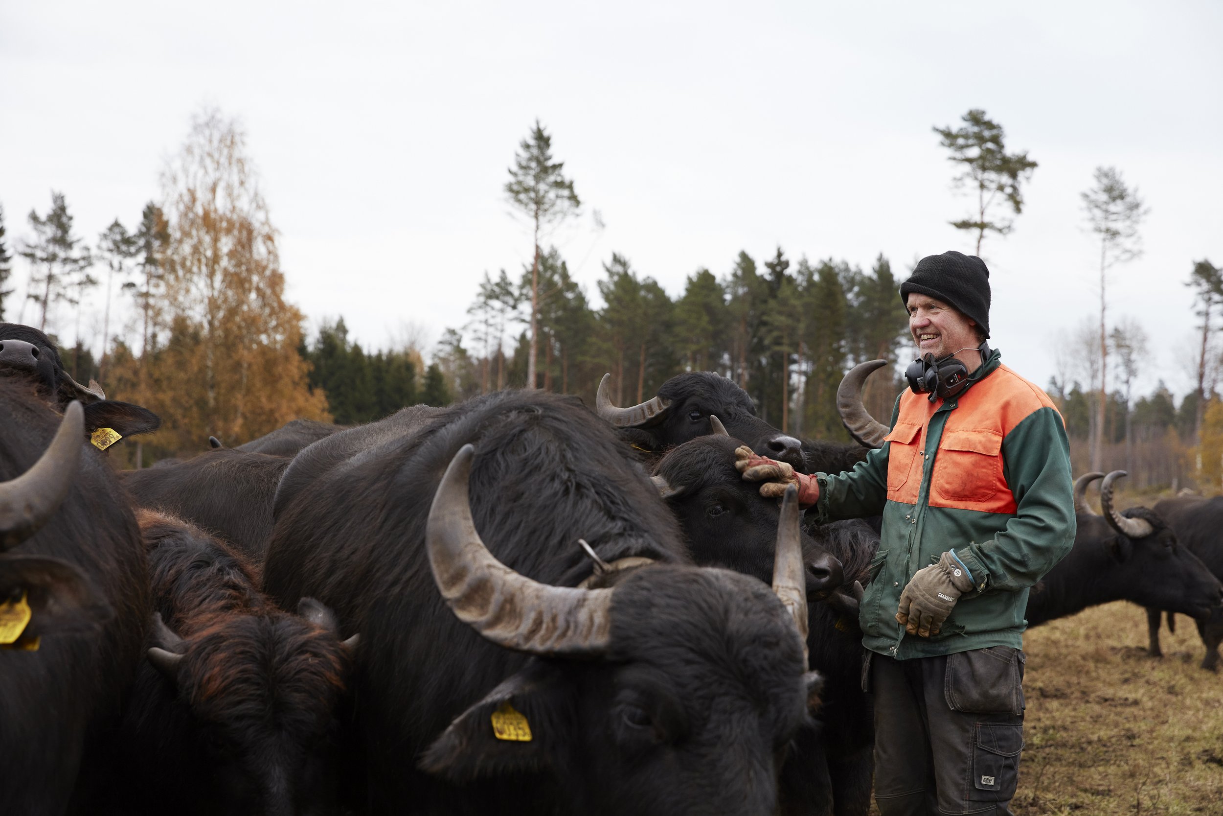 angsholmens_gardsmejeri_07.jpg