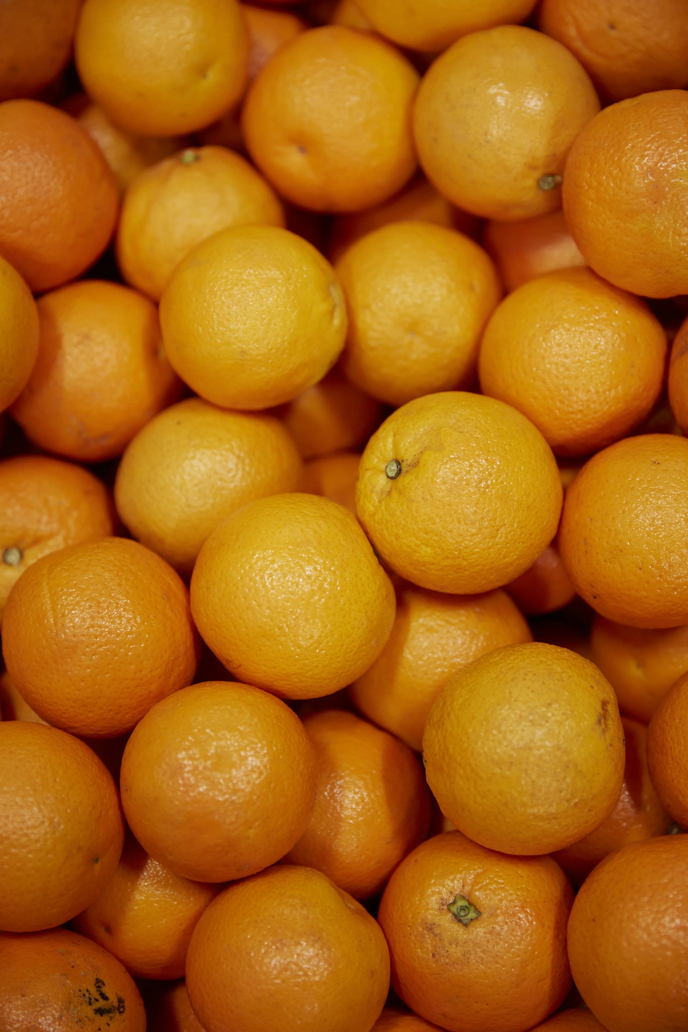 rasaft_02.jpg