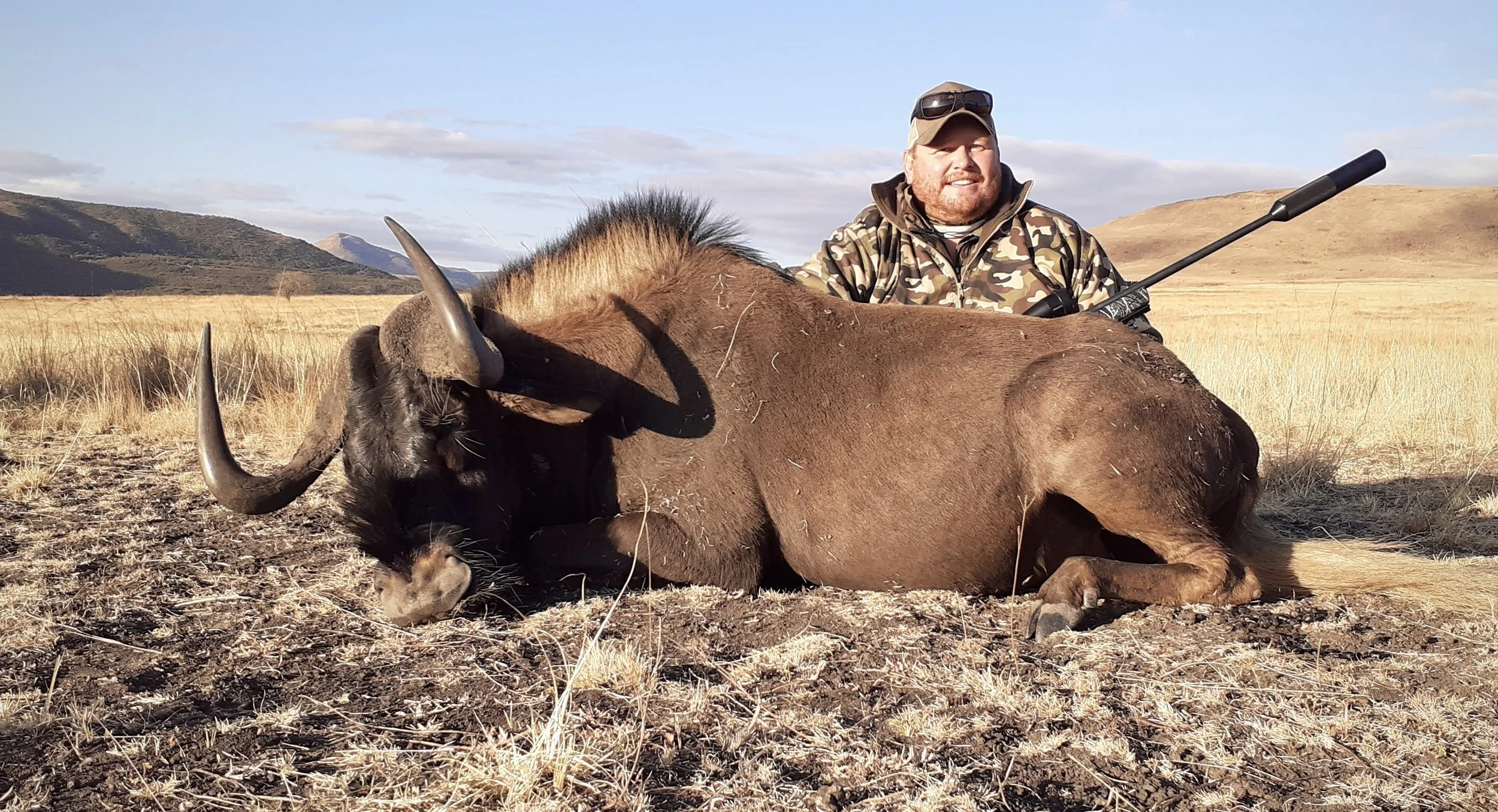 Black Wildebeest bull hunted in Mpumalanga, South Africa.