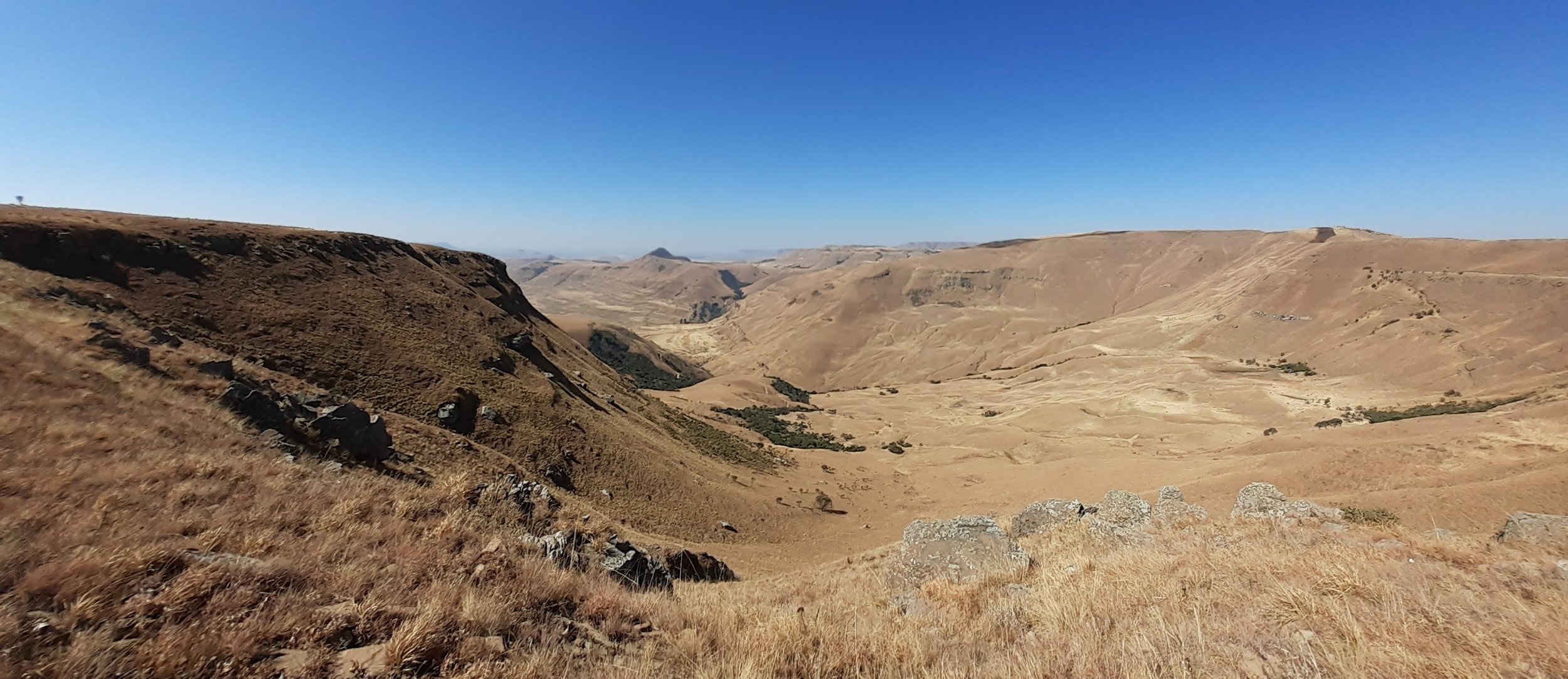 Highveld