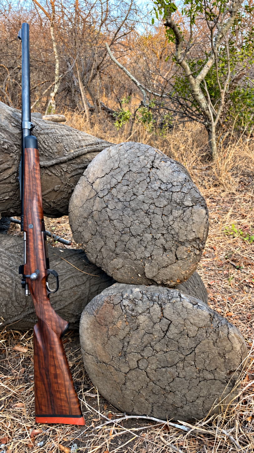Elephant Bull hunted in the South African Lowveld, alongside a .500 Jeffery Hunting Rifle