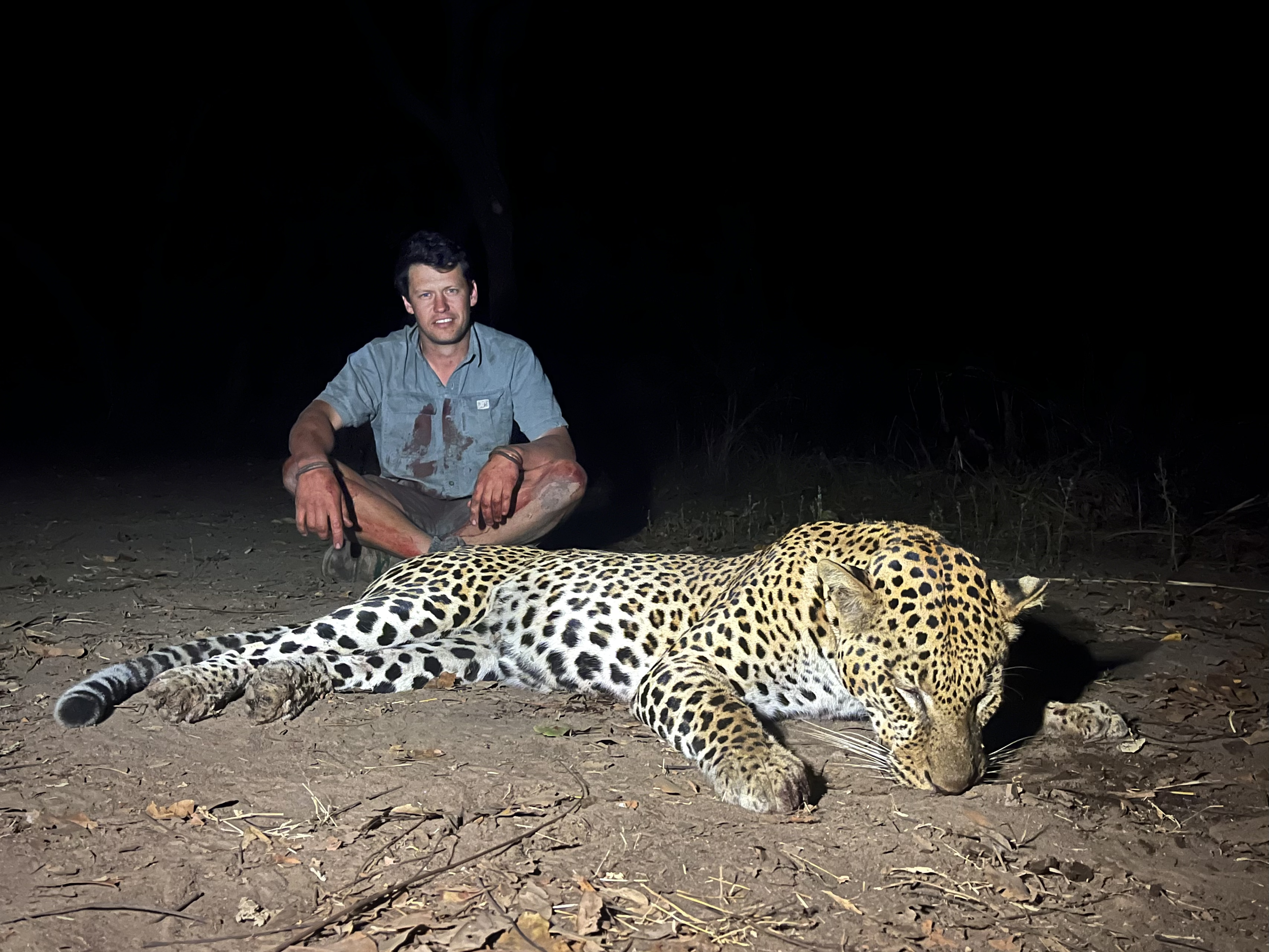 Leopard hunted in Northern Mozambique