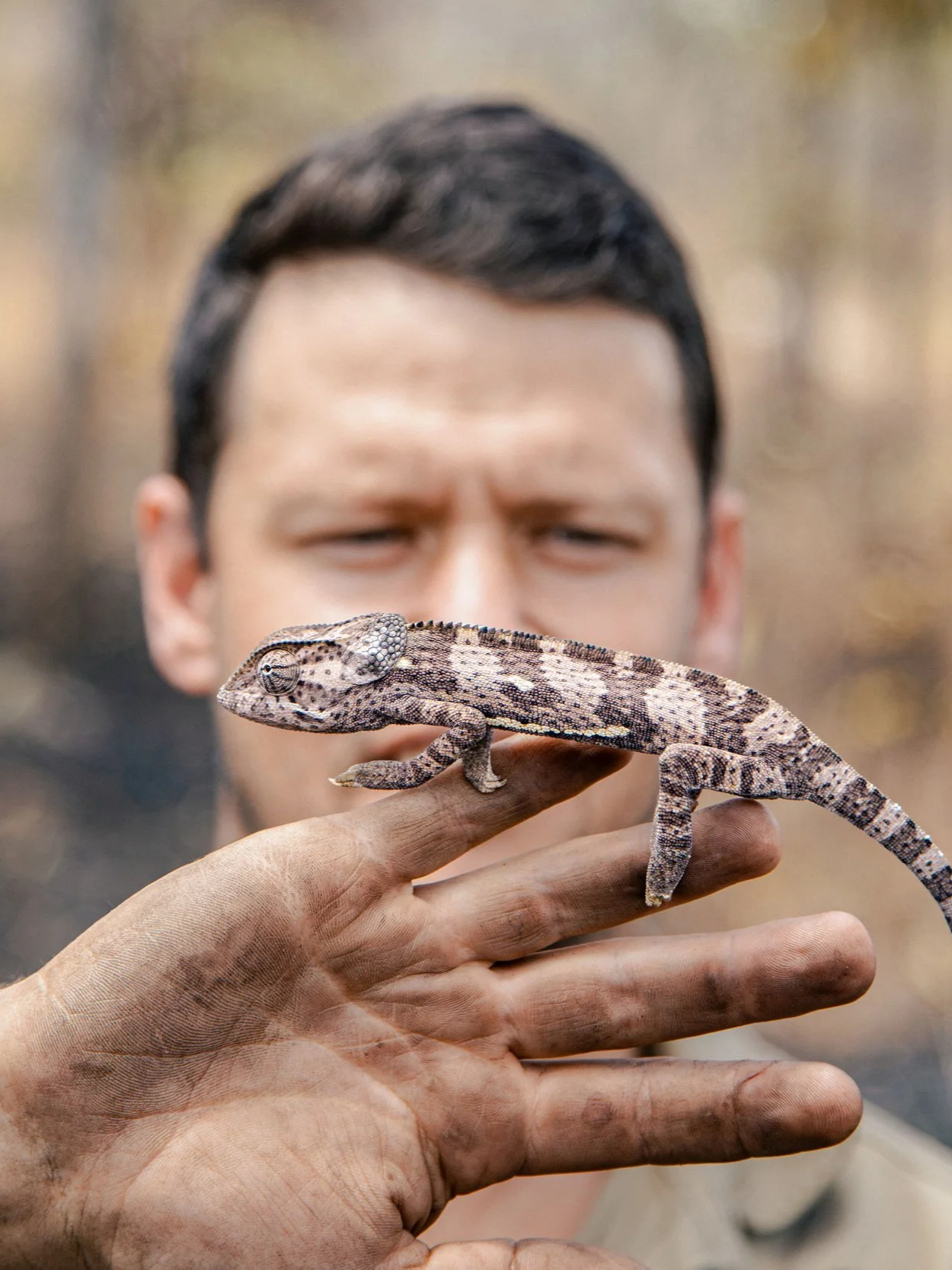 Robin Fourie, professional hunter showing a chameleon to hunting clients in Northern Mozambique while on safari