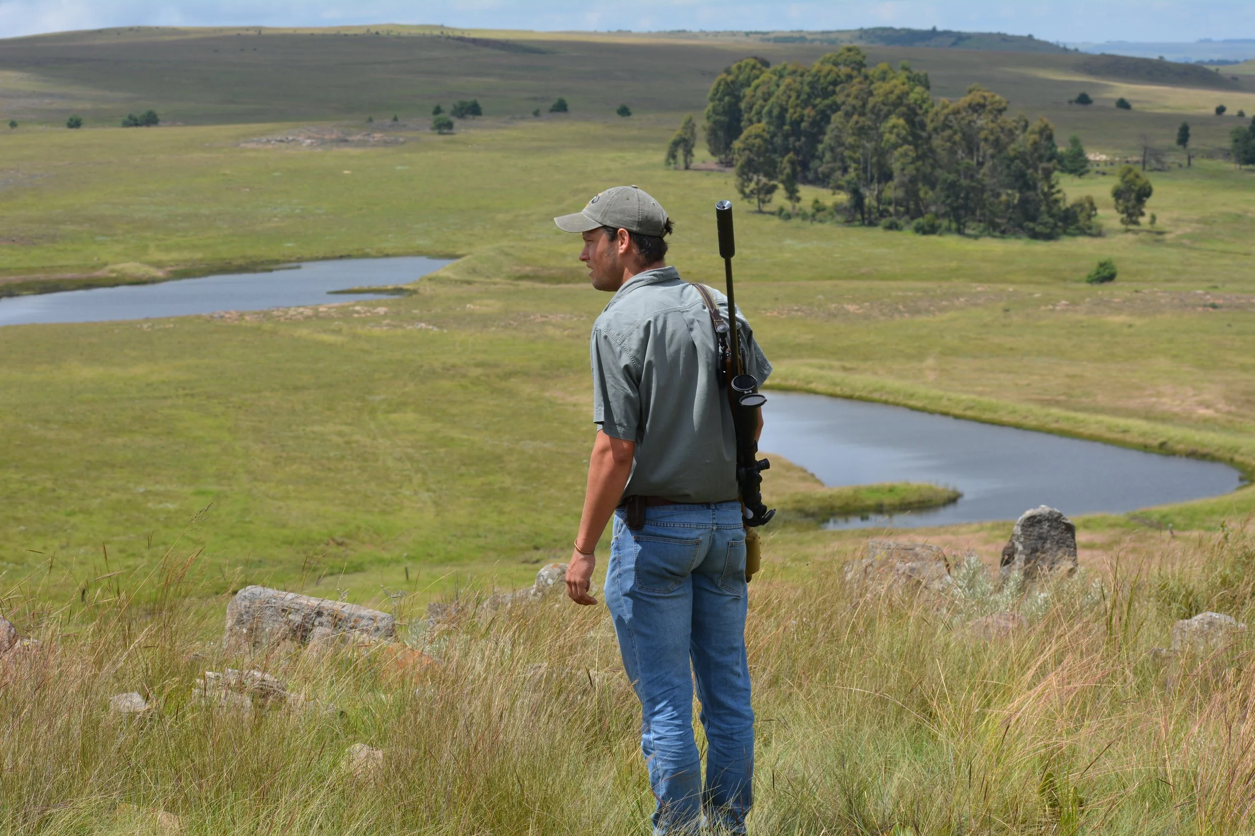 Open terrain and rolling grassland which is typical of Highveld hunting areas.