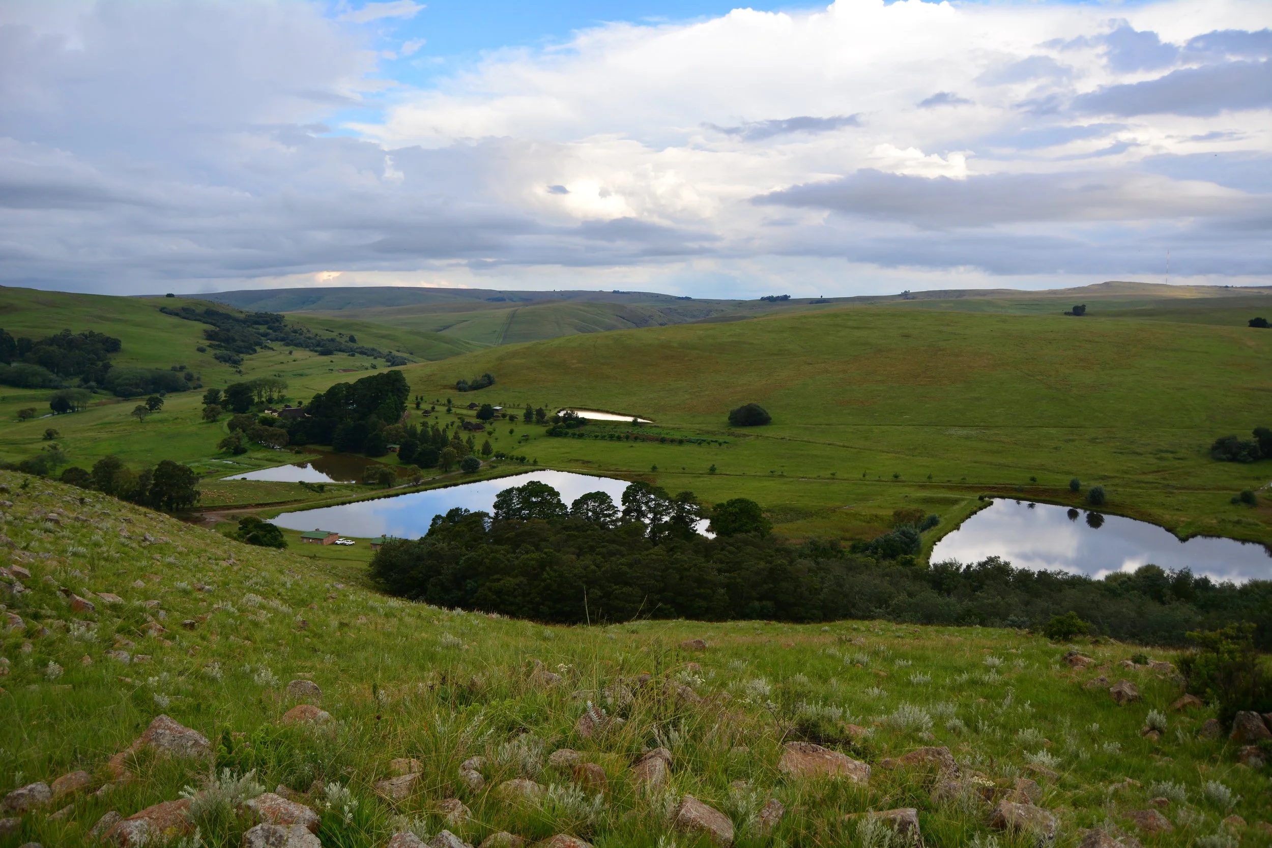 Highveld