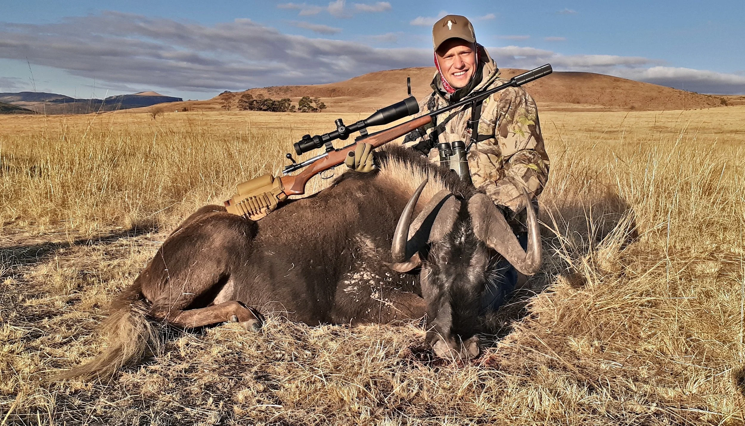 Black Wildebeest bull taken at distance in the Highveld of Mpumalanga, South Africa