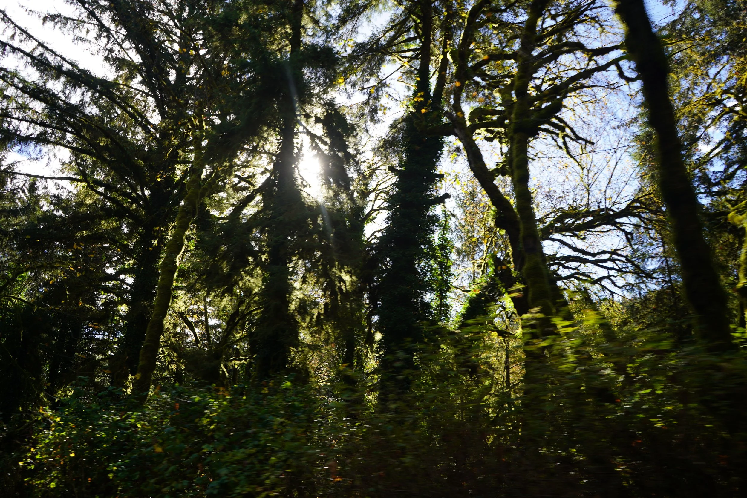 DSC01617.JPG