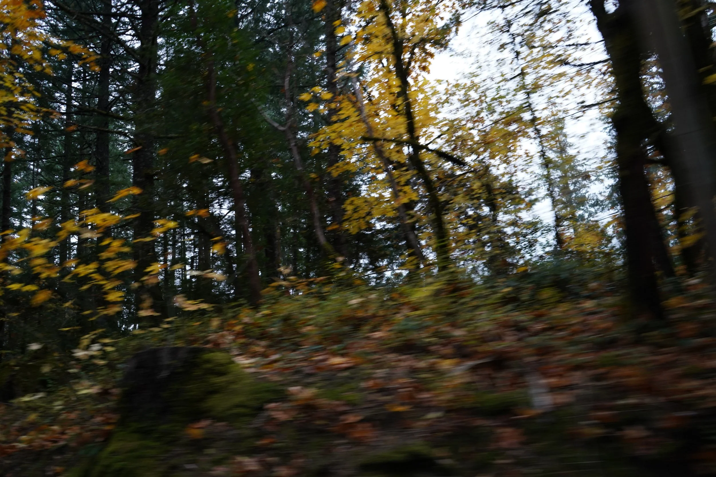 DSC00976.JPG