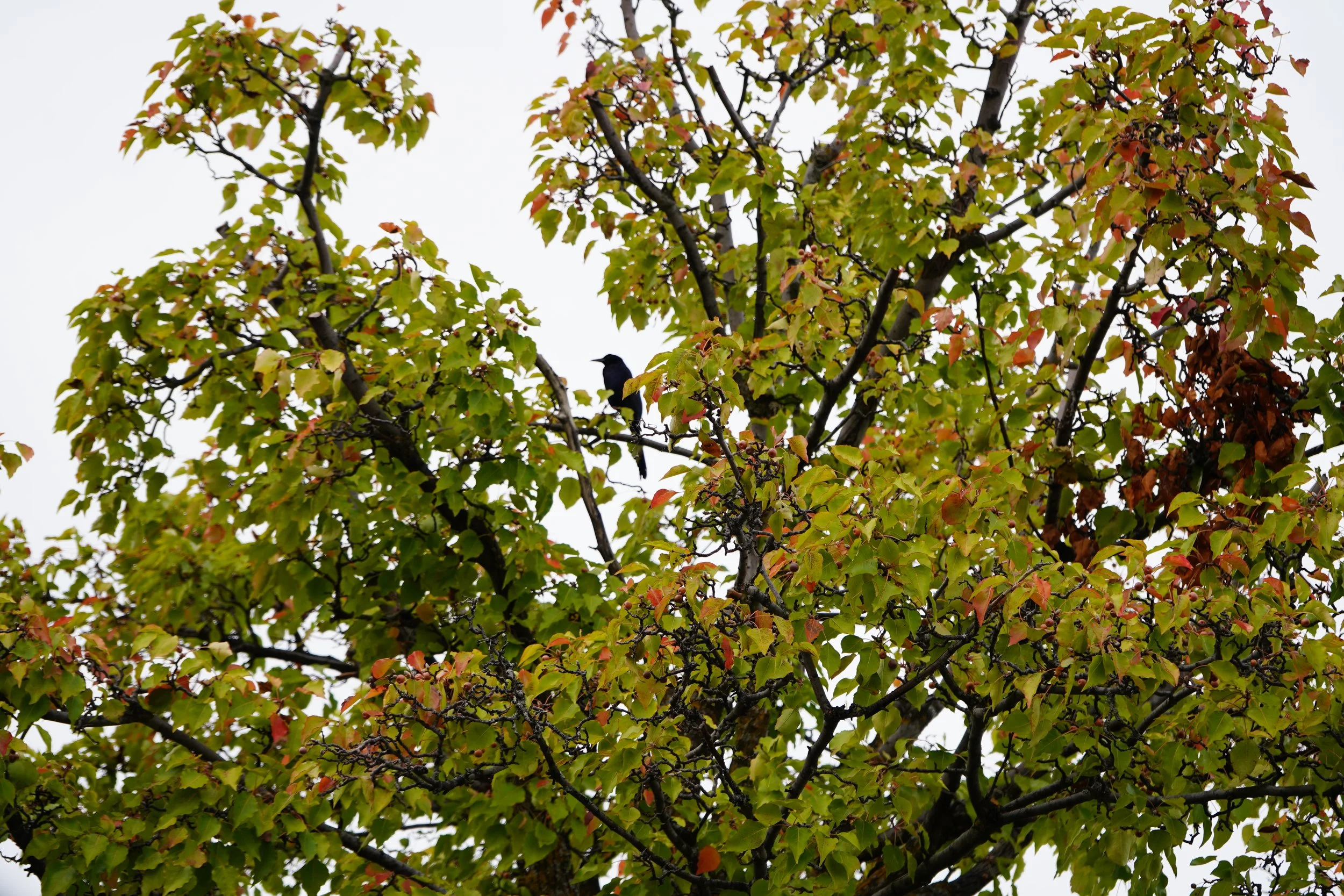 DSC00840.JPG