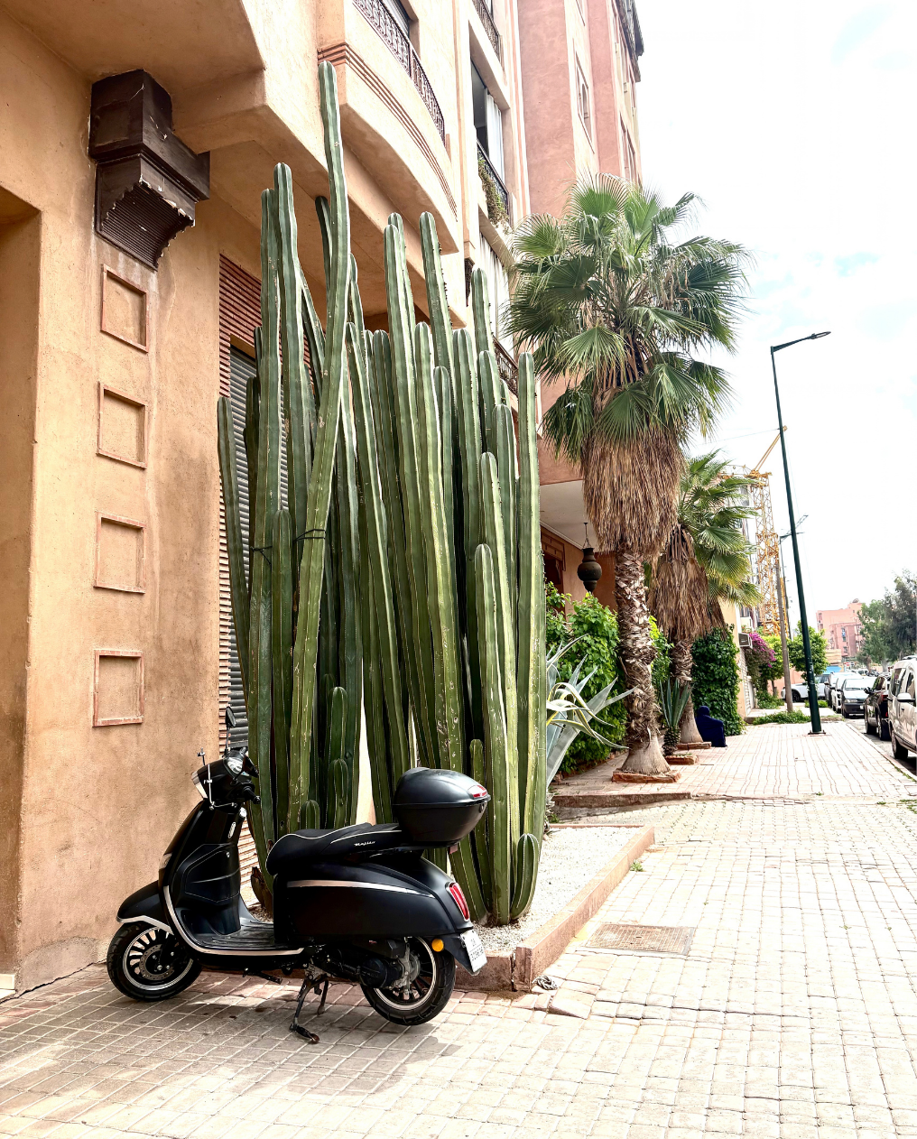Claire_Jennings-Bhojani_Portfolio.png