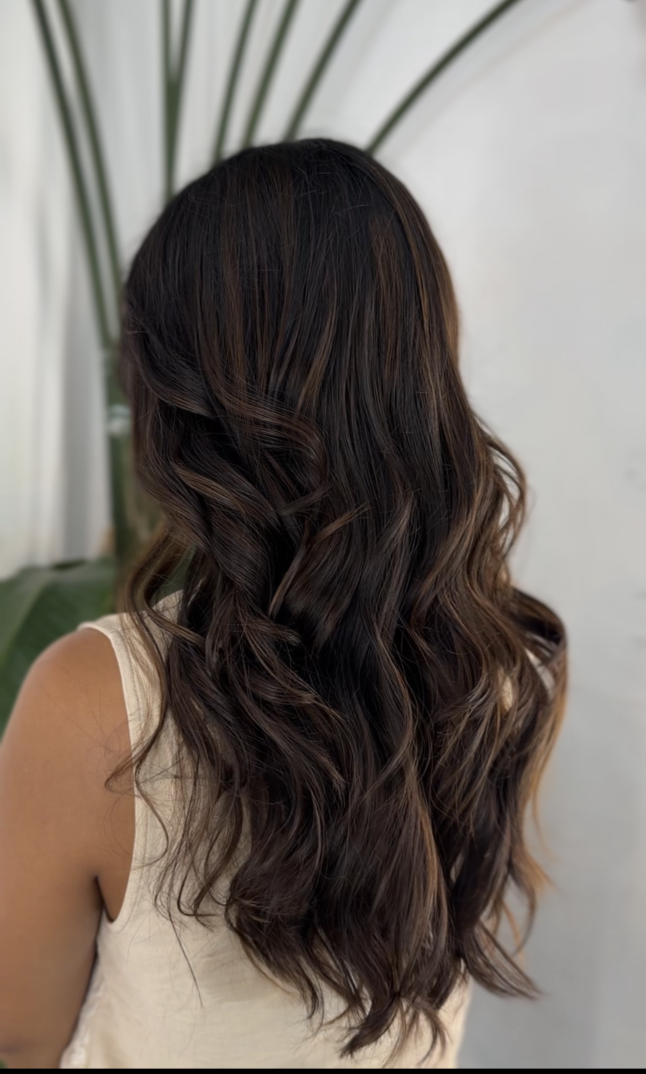 Cabello largo, ondulado, con tono castaño oscuro y reflejos más claros, vista desde atrás, con fondo de pared blanca y plantas verdes.