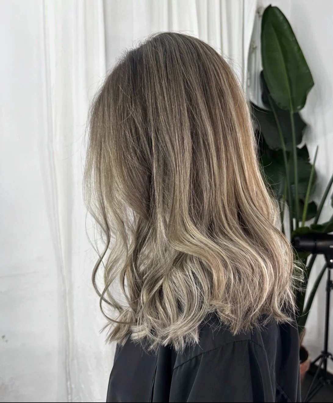 Cabello rubio y ondulado de una mujer vista de espaldas, con fondo blanco y planta verde.