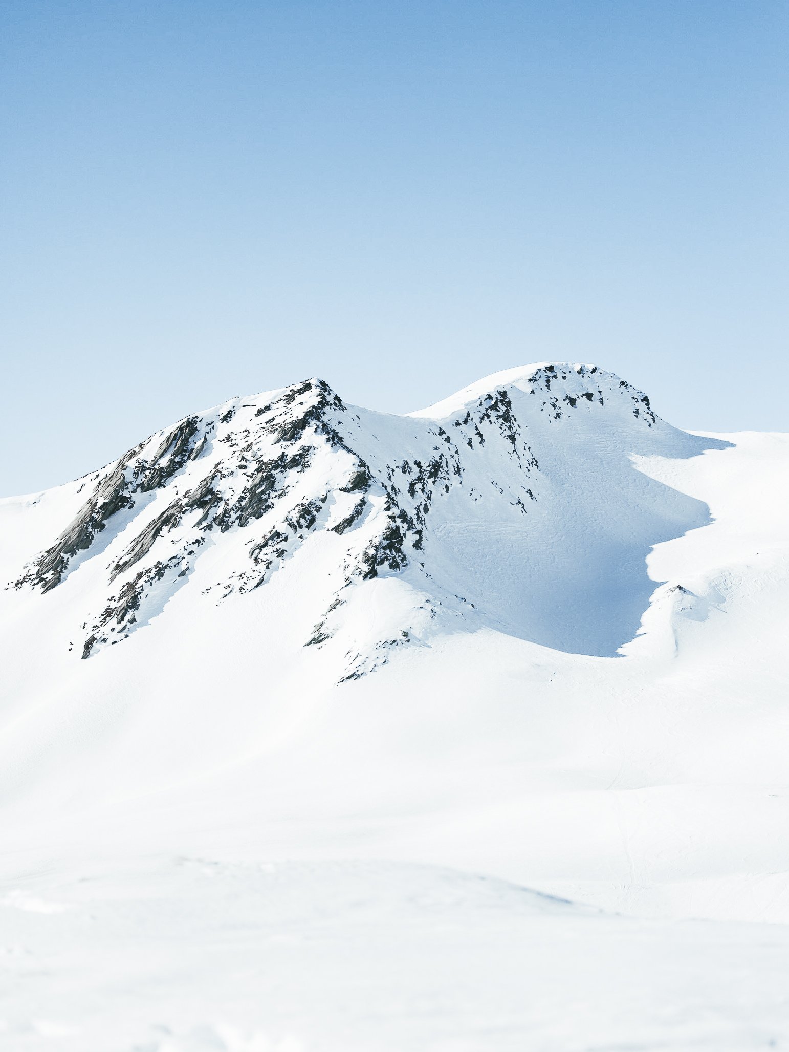 _MG_3529.jpg