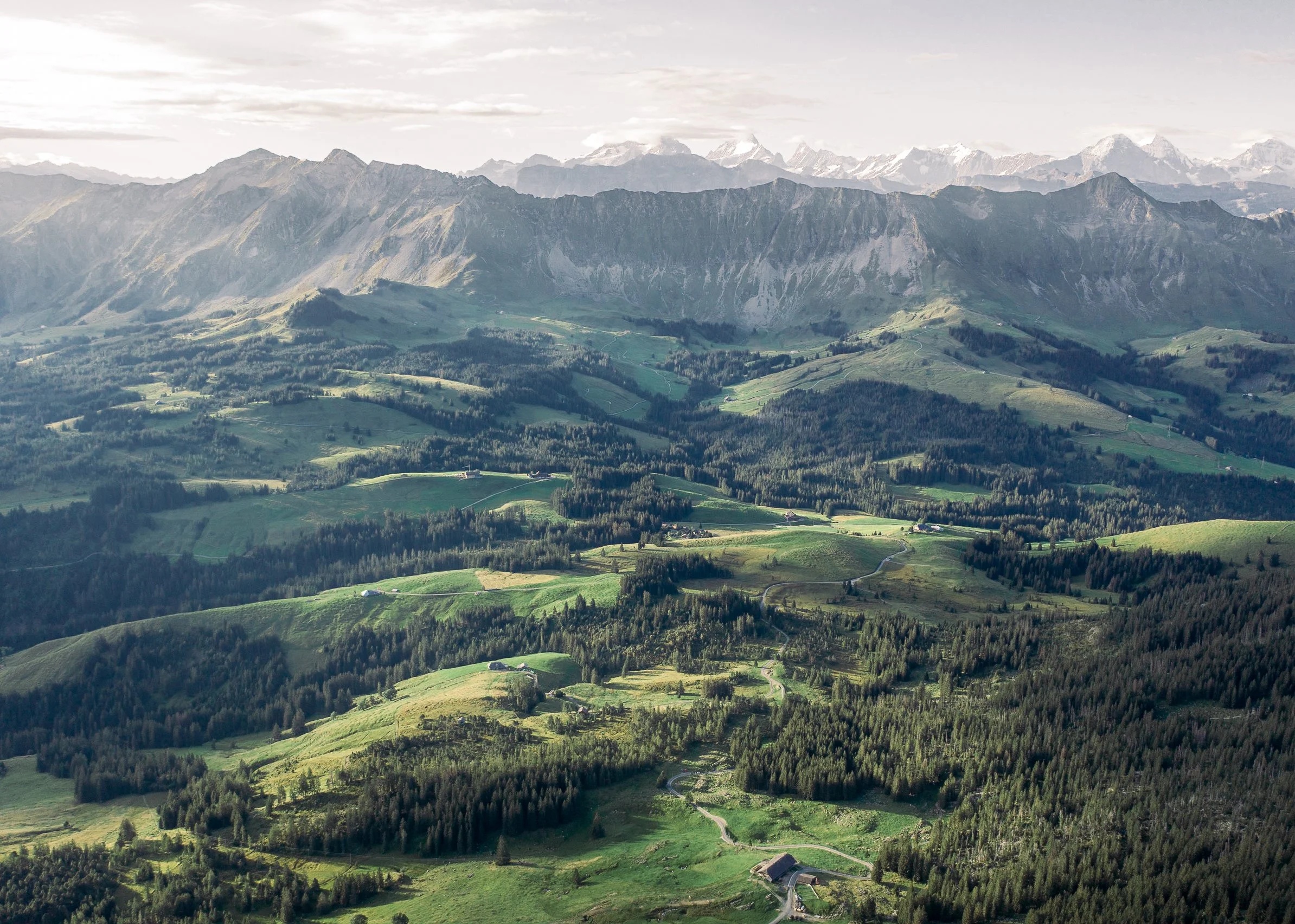 DJI_0215.jpg