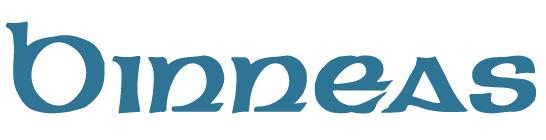 The Binnies logo with the company name in stylized blue text on a black background.