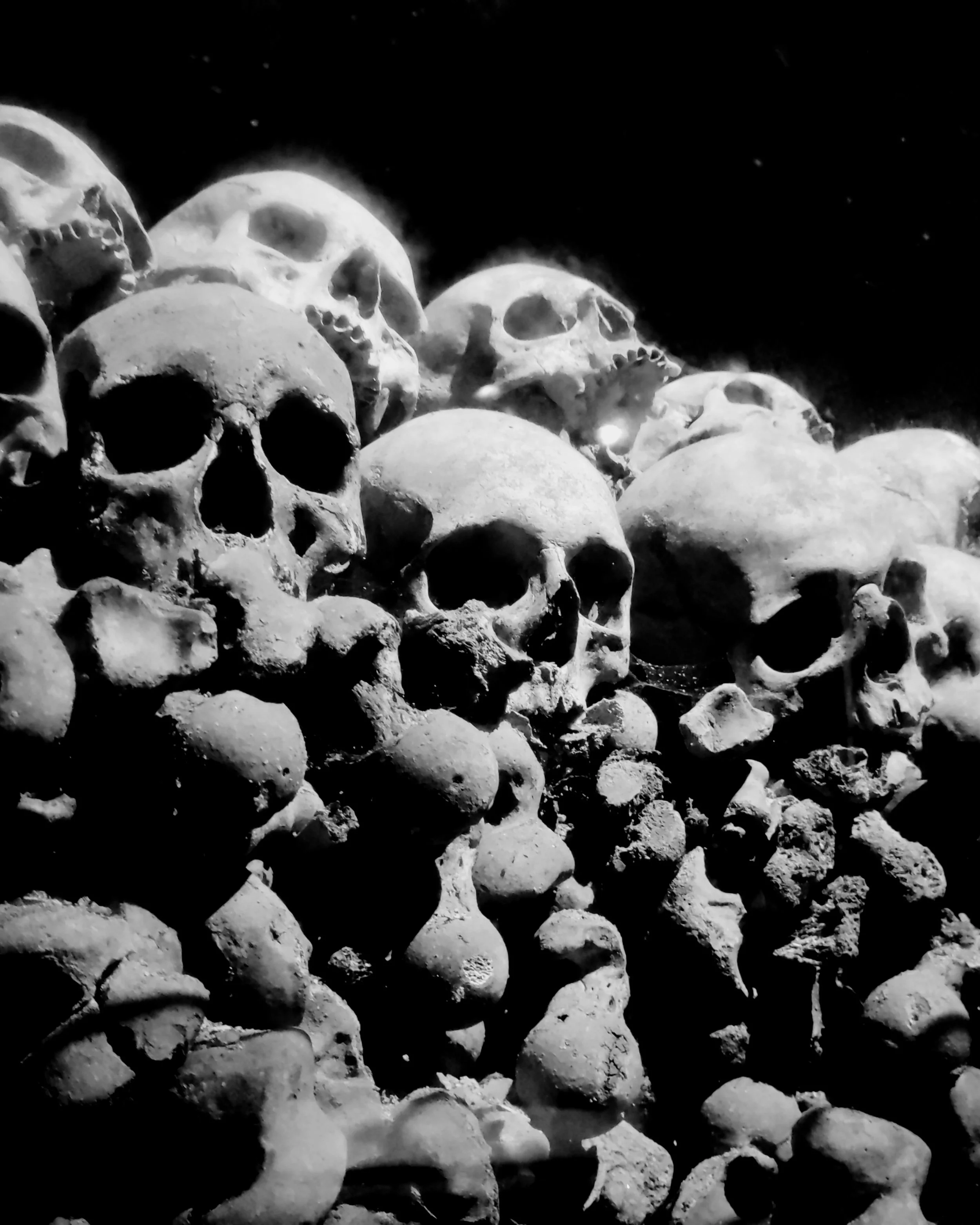 Multiple human skulls stacked in a pile in black and white.