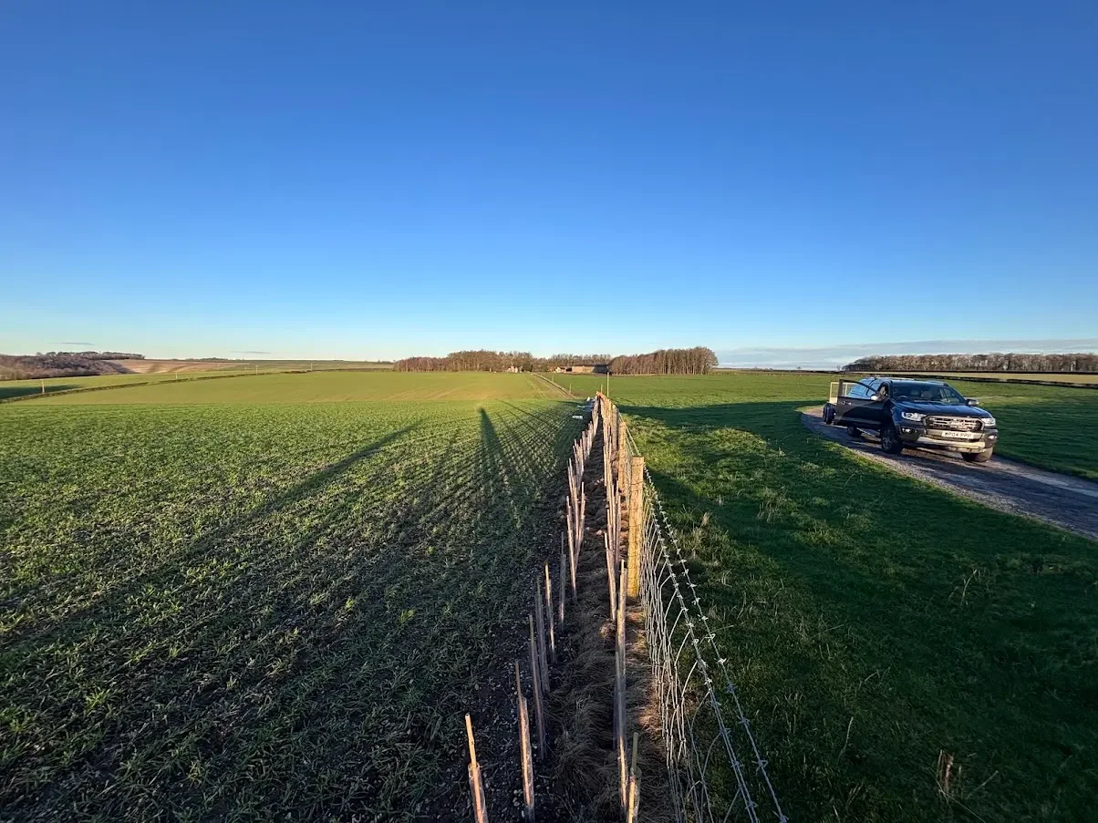 Young hedge plants and stakes beside a stock fence between fields