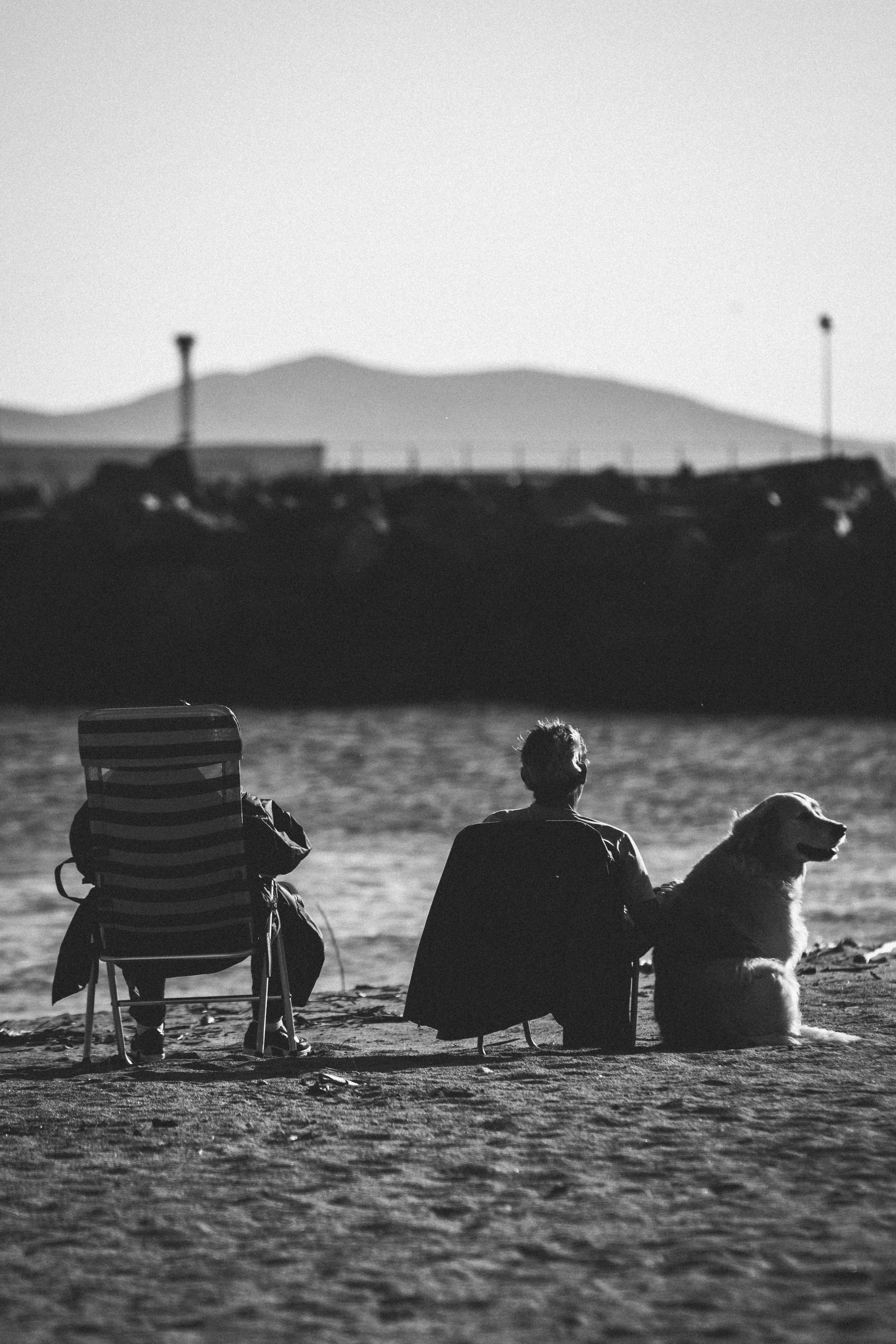 Deux personnes assises sur la plage avec un chien, regardant vers la mer, avec une montagne en arrière-plan