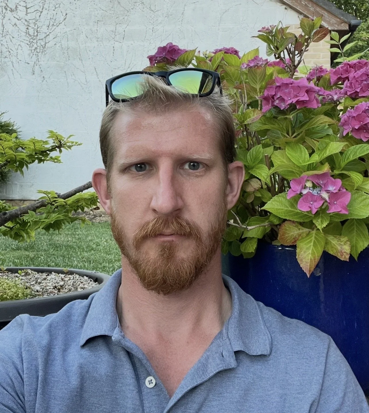 A man with sunglasses on his head, a beard, and blue eyes taking a selfie outdoors. Behind him are pink hydrangea flowers and green foliage.